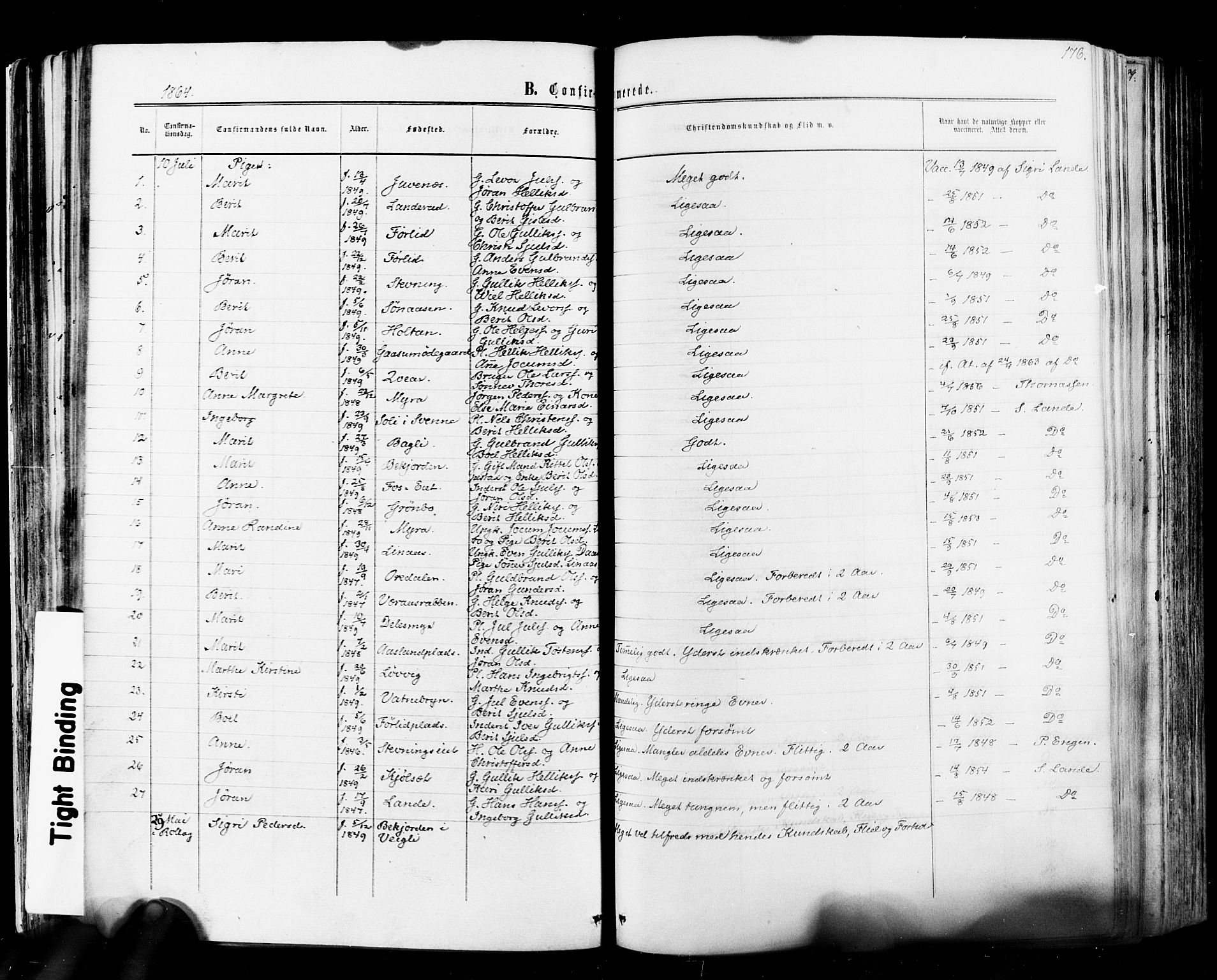 Flesberg kirkebøker, AV/SAKO-A-18/F/Fa/L0007: Ministerialbok nr. I 7, 1861-1878, s. 176