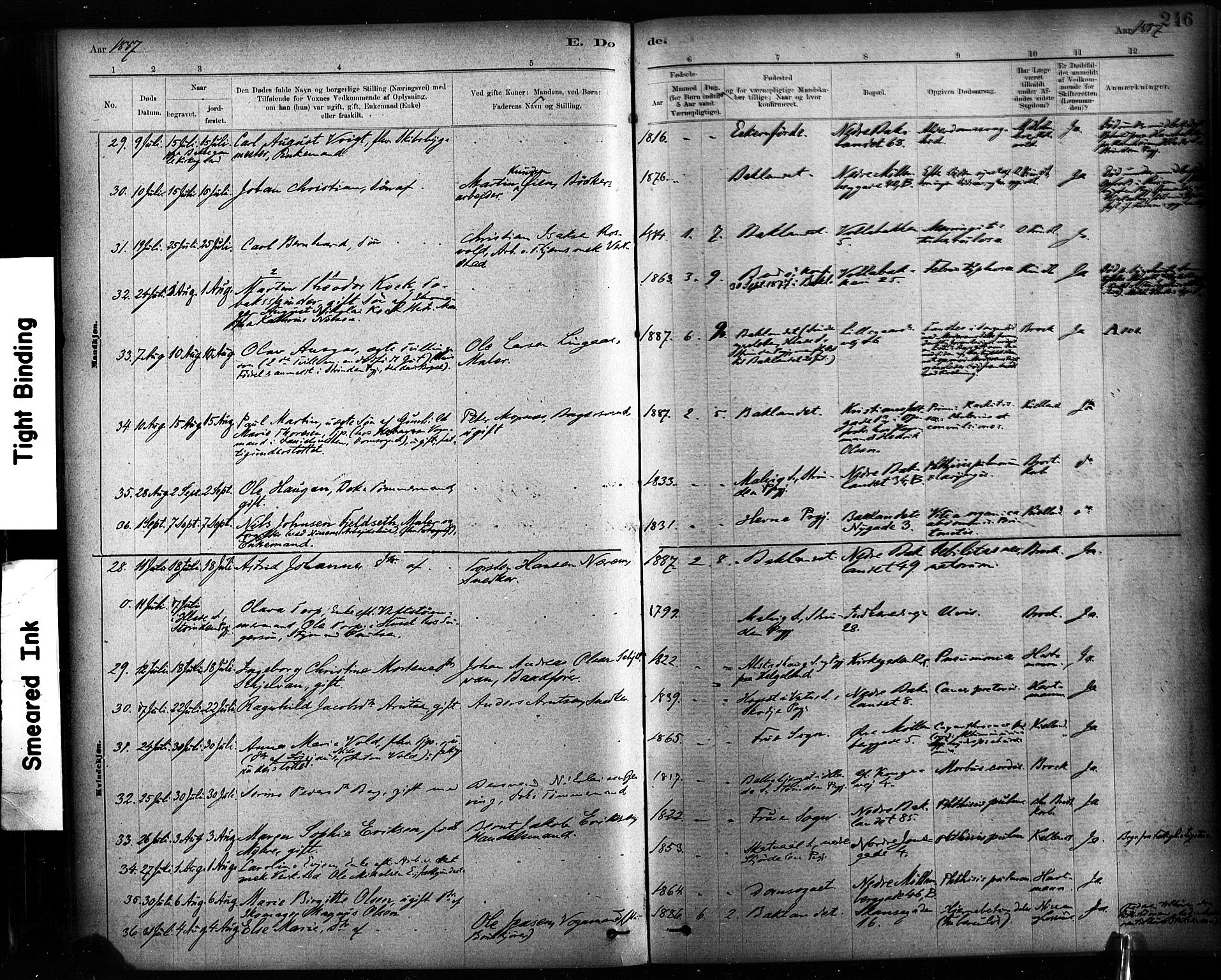 Ministerialprotokoller, klokkerbøker og fødselsregistre - Sør-Trøndelag, AV/SAT-A-1456/604/L0189: Ministerialbok nr. 604A10, 1878-1892, s. 246