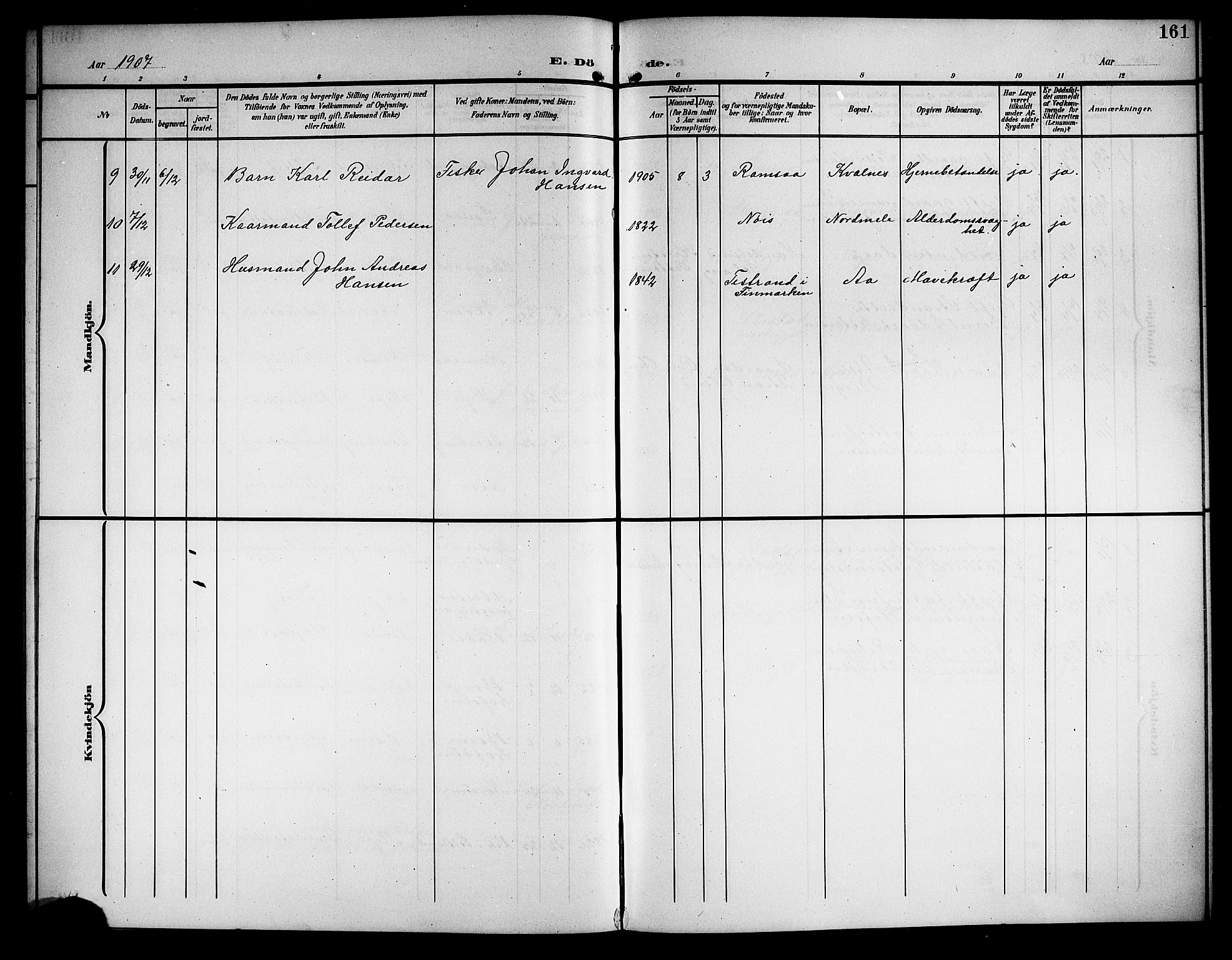 Ministerialprotokoller, klokkerbøker og fødselsregistre - Nordland, AV/SAT-A-1459/897/L1414: Klokkerbok nr. 897C04, 1904-1915, s. 161