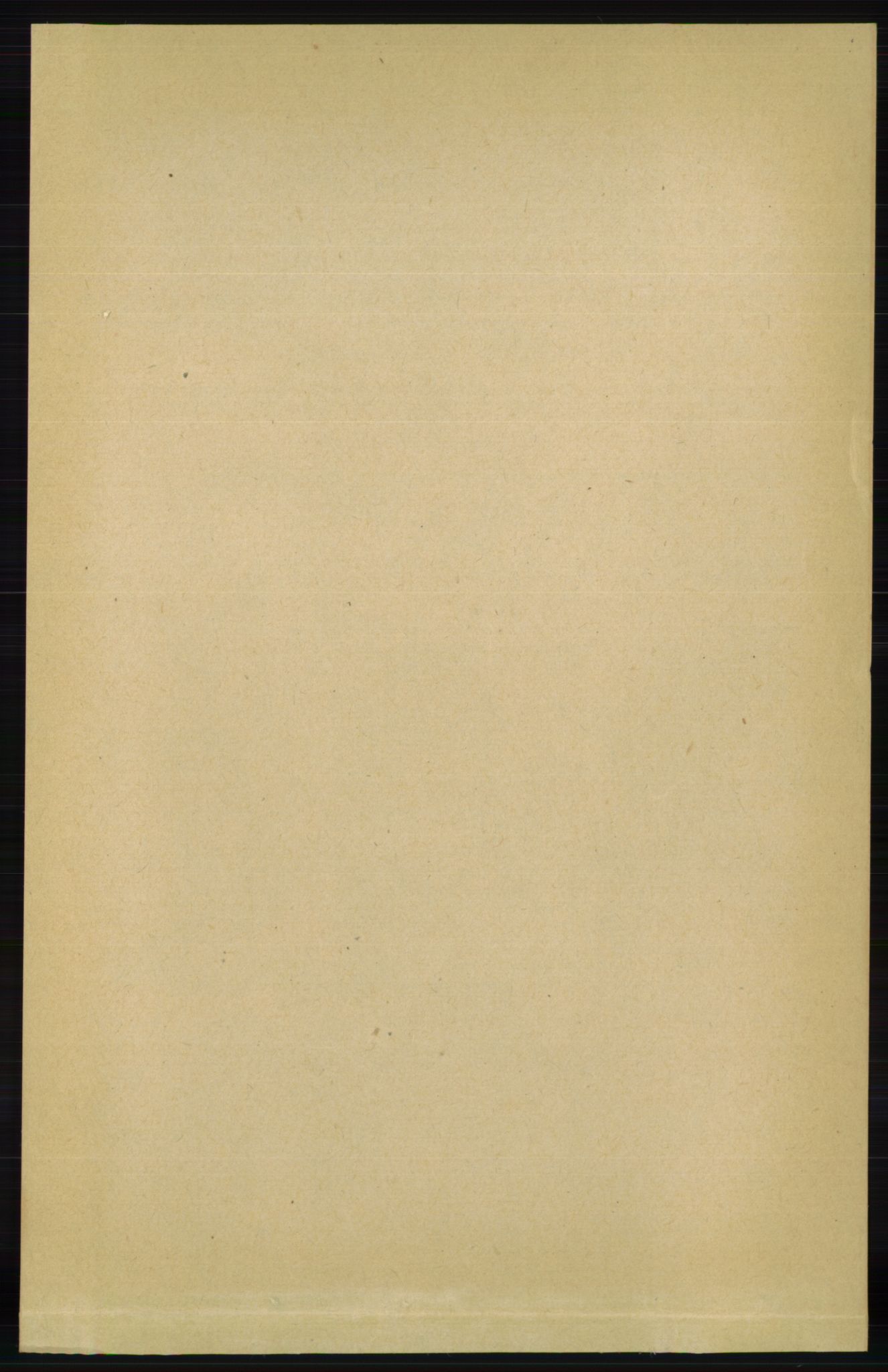 RA, Folketelling 1891 for 0937 Evje herred, 1891, s. 55