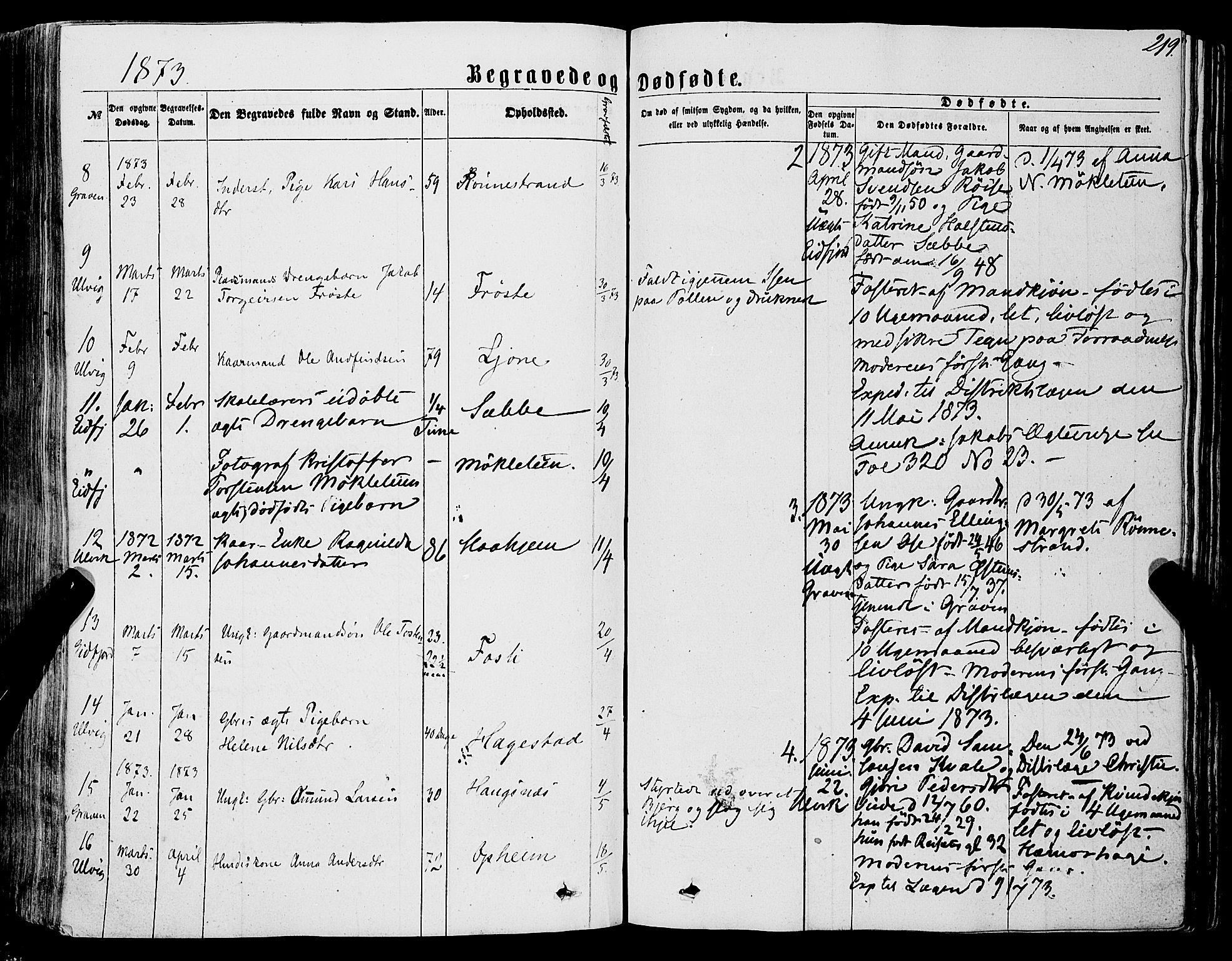 Ulvik sokneprestembete, AV/SAB-A-78801/H/Haa: Ministerialbok nr. A 15, 1864-1878, s. 219