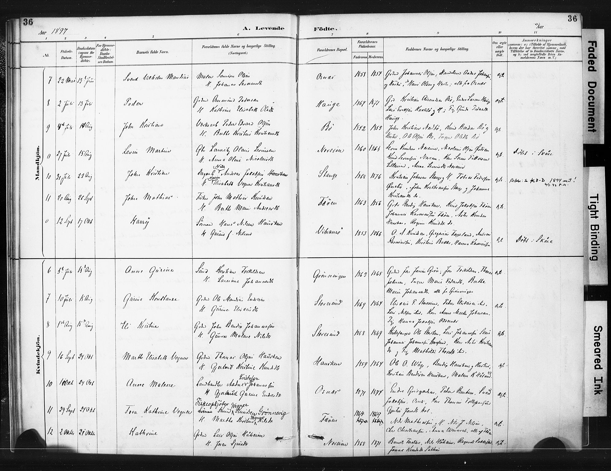 Torvastad sokneprestkontor, AV/SAST-A -101857/H/Ha/Haa/L0015: Ministerialbok nr. A 14, 1888-1899, s. 36