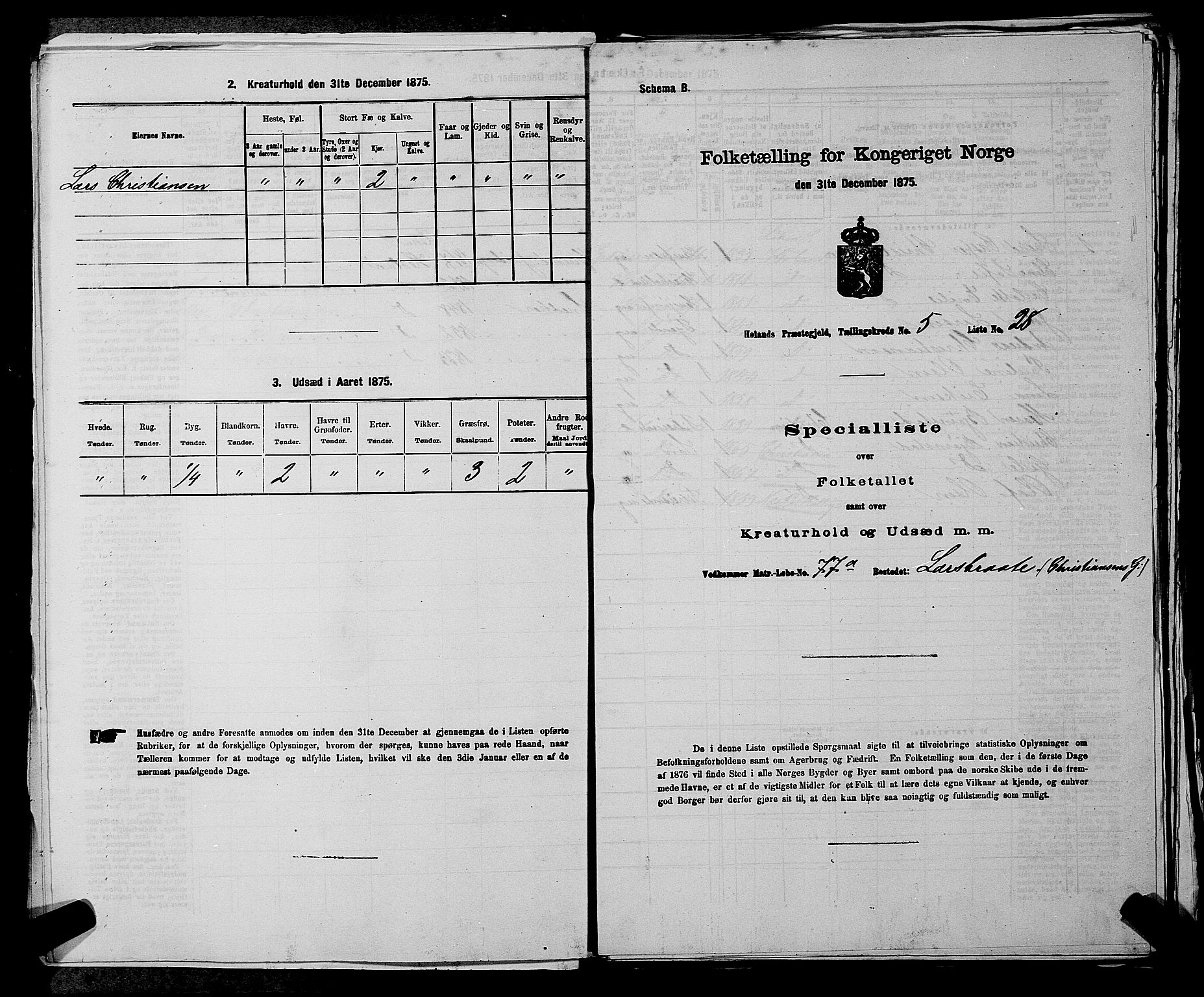 RA, Folketelling 1875 for 0221P Høland prestegjeld, 1875, s. 959