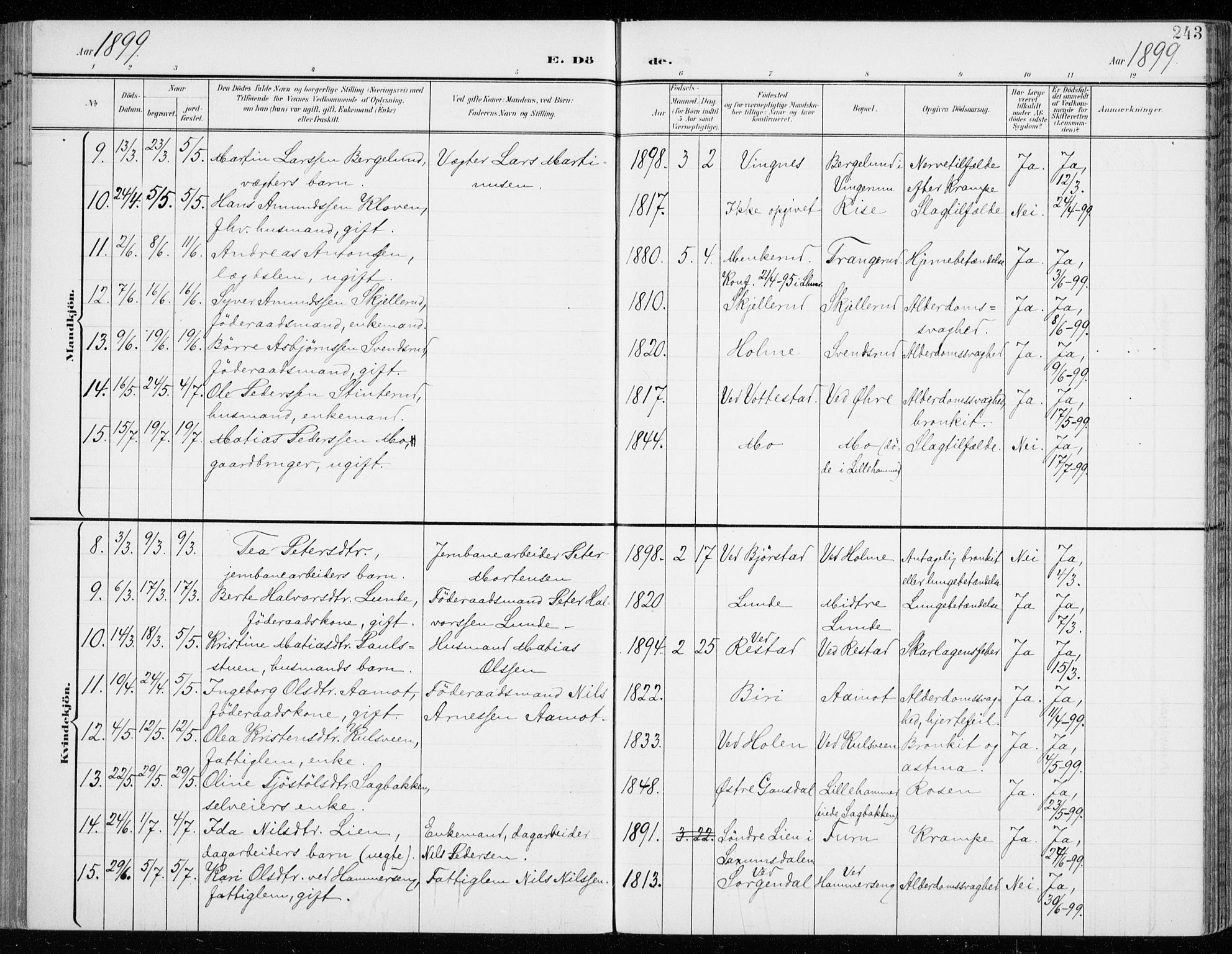 Fåberg prestekontor, AV/SAH-PREST-086/H/Ha/Haa/L0011: Ministerialbok nr. 11, 1899-1913, s. 243