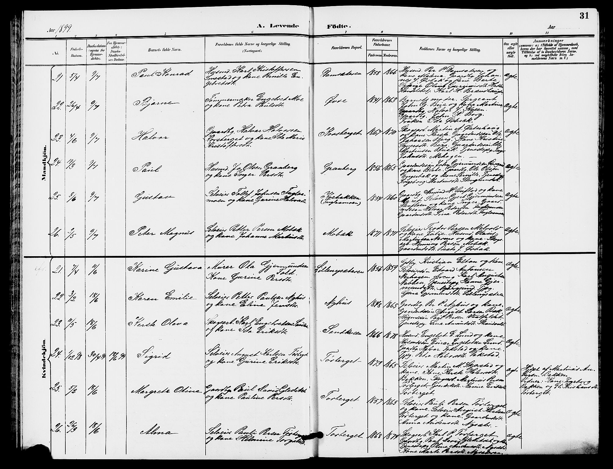 Trysil prestekontor, AV/SAH-PREST-046/H/Ha/Hab/L0006: Klokkerbok nr. 6, 1896-1912, s. 31