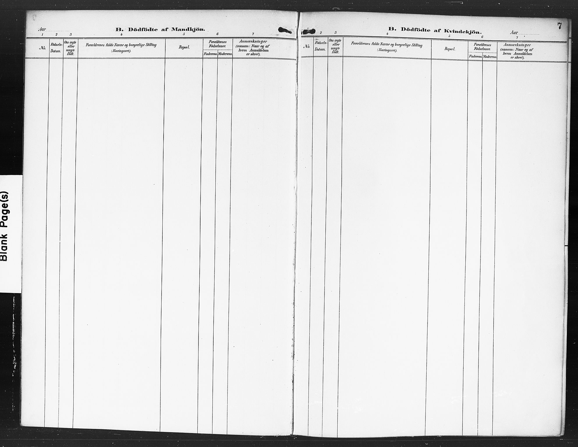 Rødenes prestekontor Kirkebøker, AV/SAO-A-2005/F/Fa/L0010: Ministerialbok nr. I 10, 1890-1900, s. 7