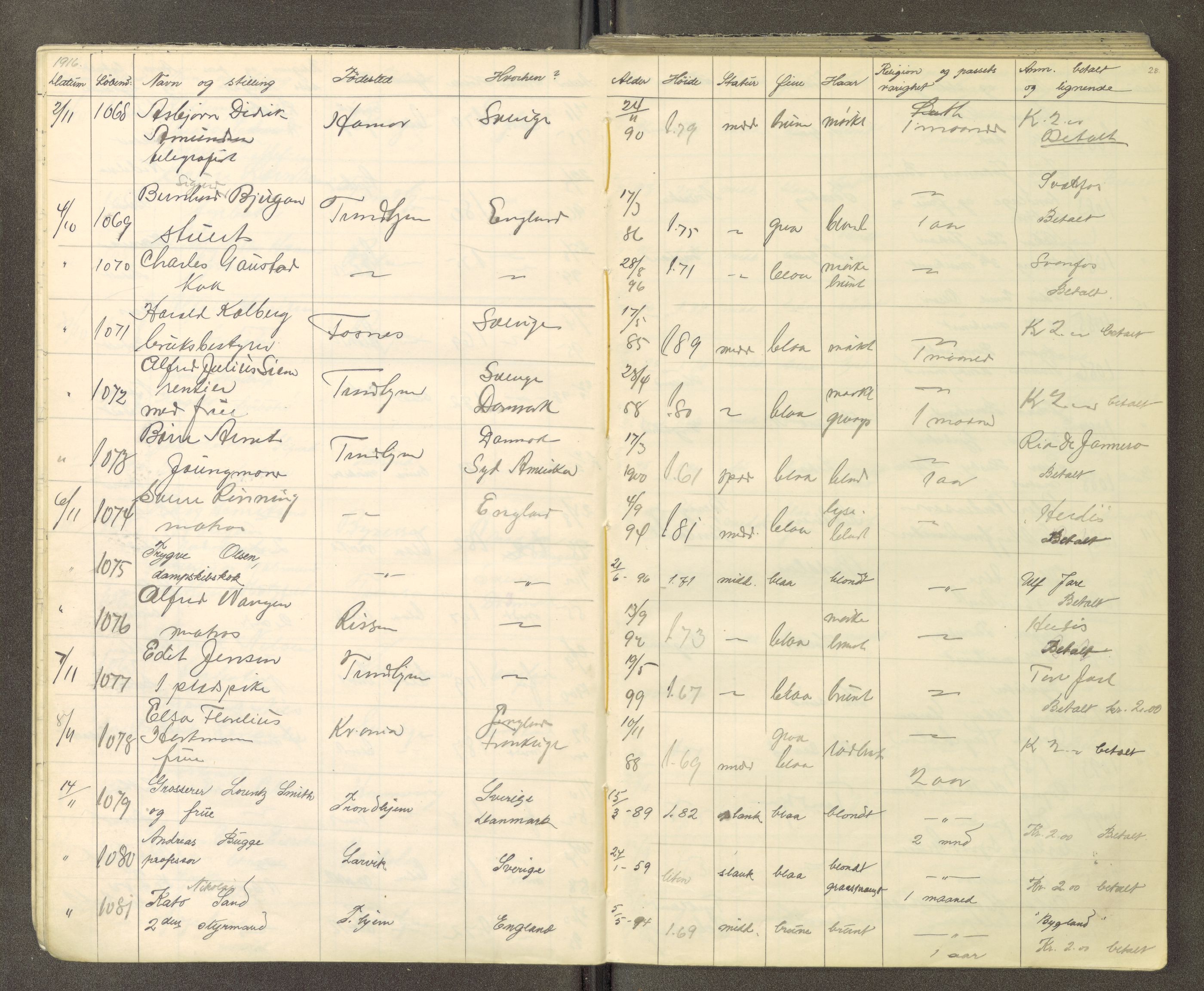 Trondheim politikammer, AV/SAT-A-1887/1/30/L0015: Passprotokoll. Utstedte pass, 1916-1918, s. 28