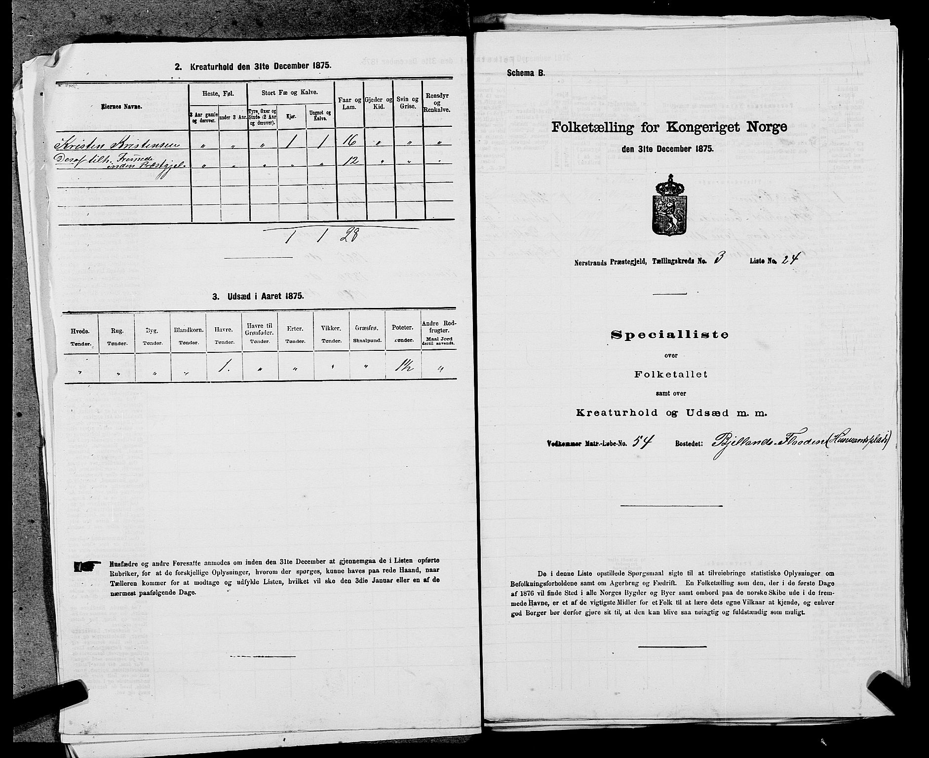 SAST, Folketelling 1875 for 1139P Nedstrand prestegjeld, 1875, s. 491