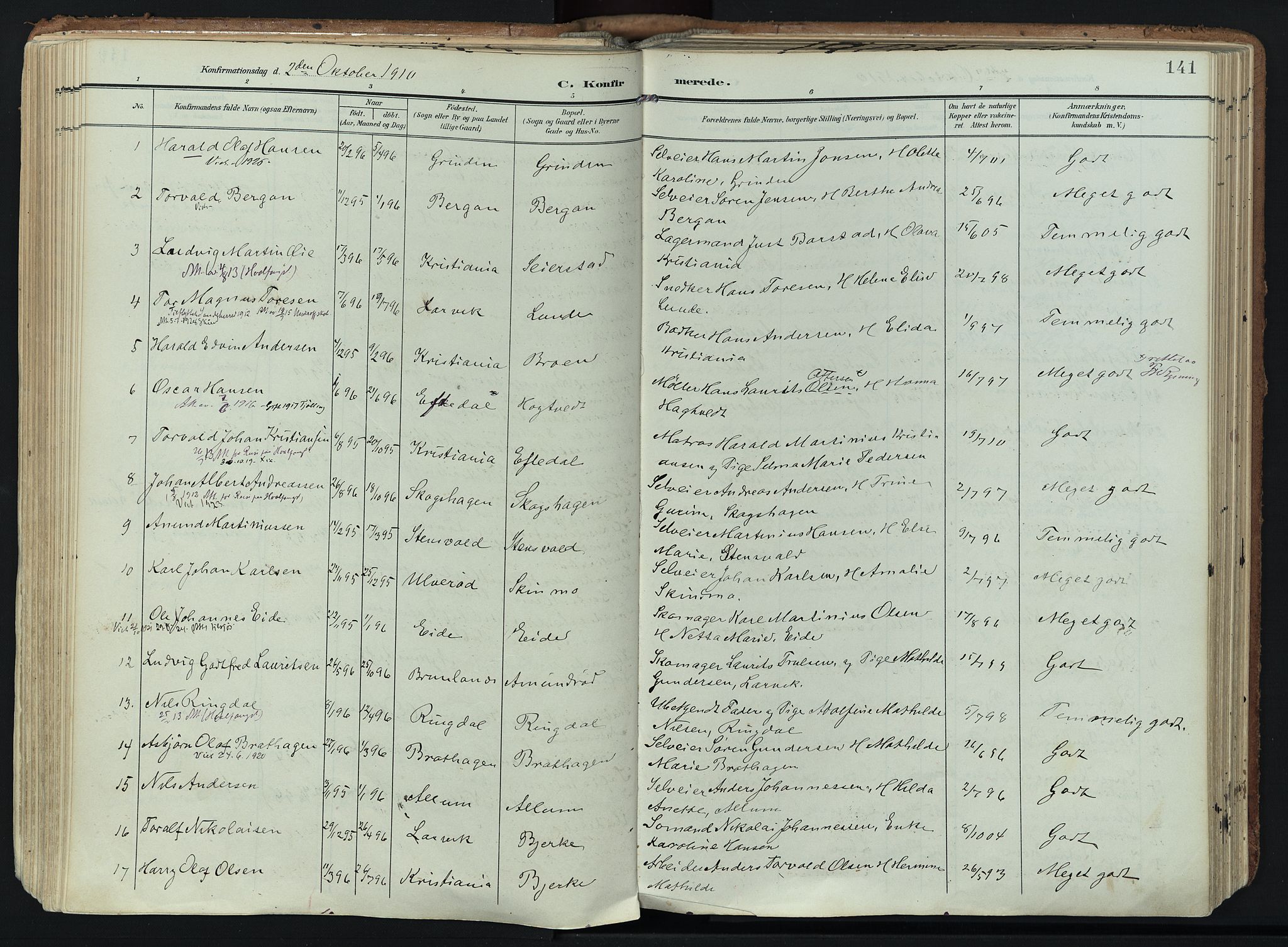 Hedrum kirkebøker, AV/SAKO-A-344/F/Fa/L0010: Ministerialbok nr. I 10, 1904-1918, s. 141