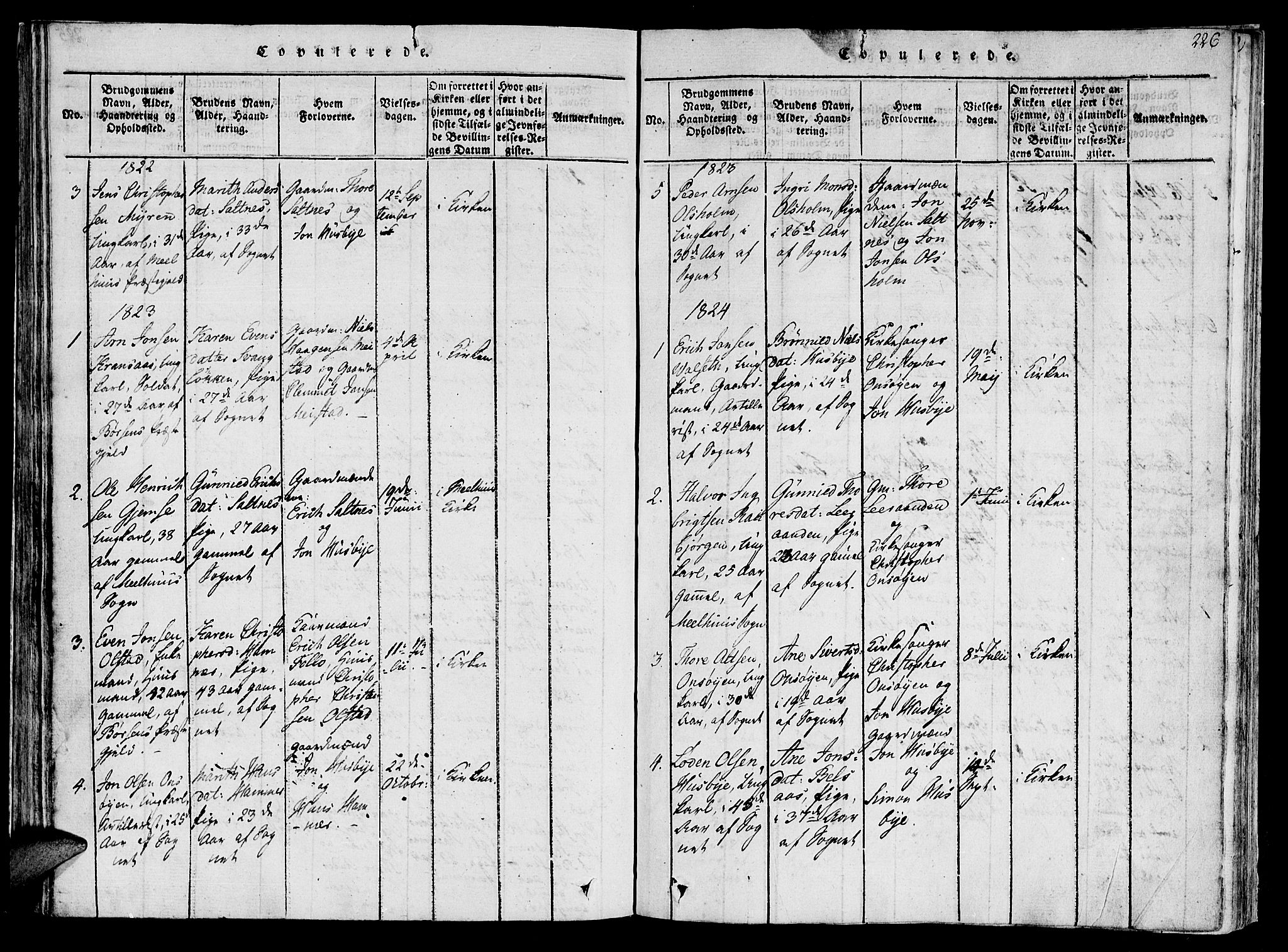 Ministerialprotokoller, klokkerbøker og fødselsregistre - Sør-Trøndelag, AV/SAT-A-1456/612/L0373: Ministerialbok nr. 612A06 /2, 1816-1828, s. 226