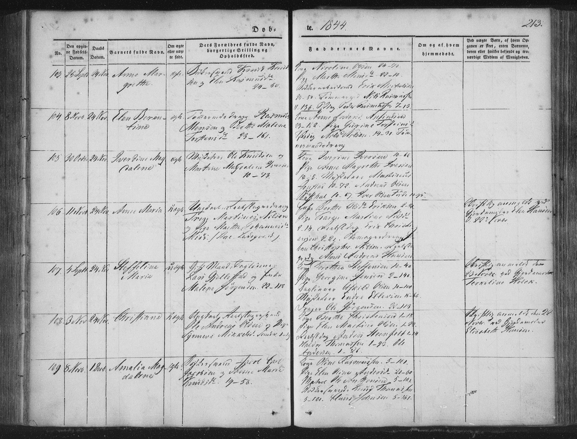 Korskirken sokneprestembete, SAB/A-76101/H/Haa/L0016: Ministerialbok nr. B 2, 1841-1851, s. 213