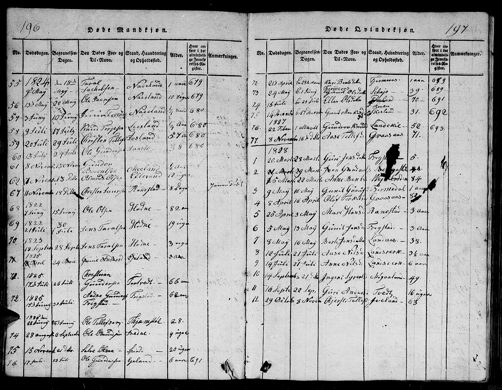 Evje sokneprestkontor, AV/SAK-1111-0008/F/Fb/Fbc/L0001: Klokkerbok nr. B 1, 1816-1836, s. 196-197