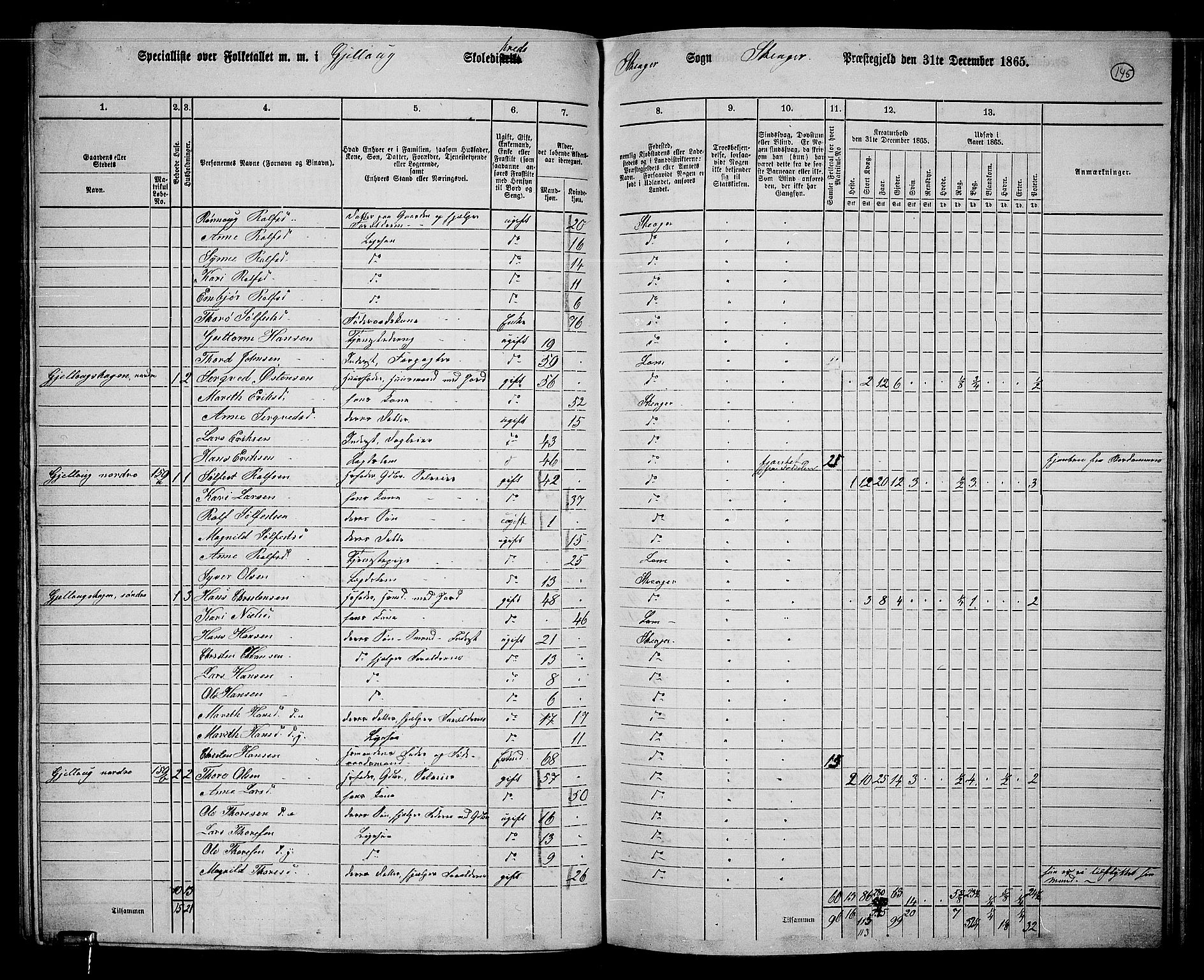 RA, Folketelling 1865 for 0513P Skjåk prestegjeld, 1865, s. 9