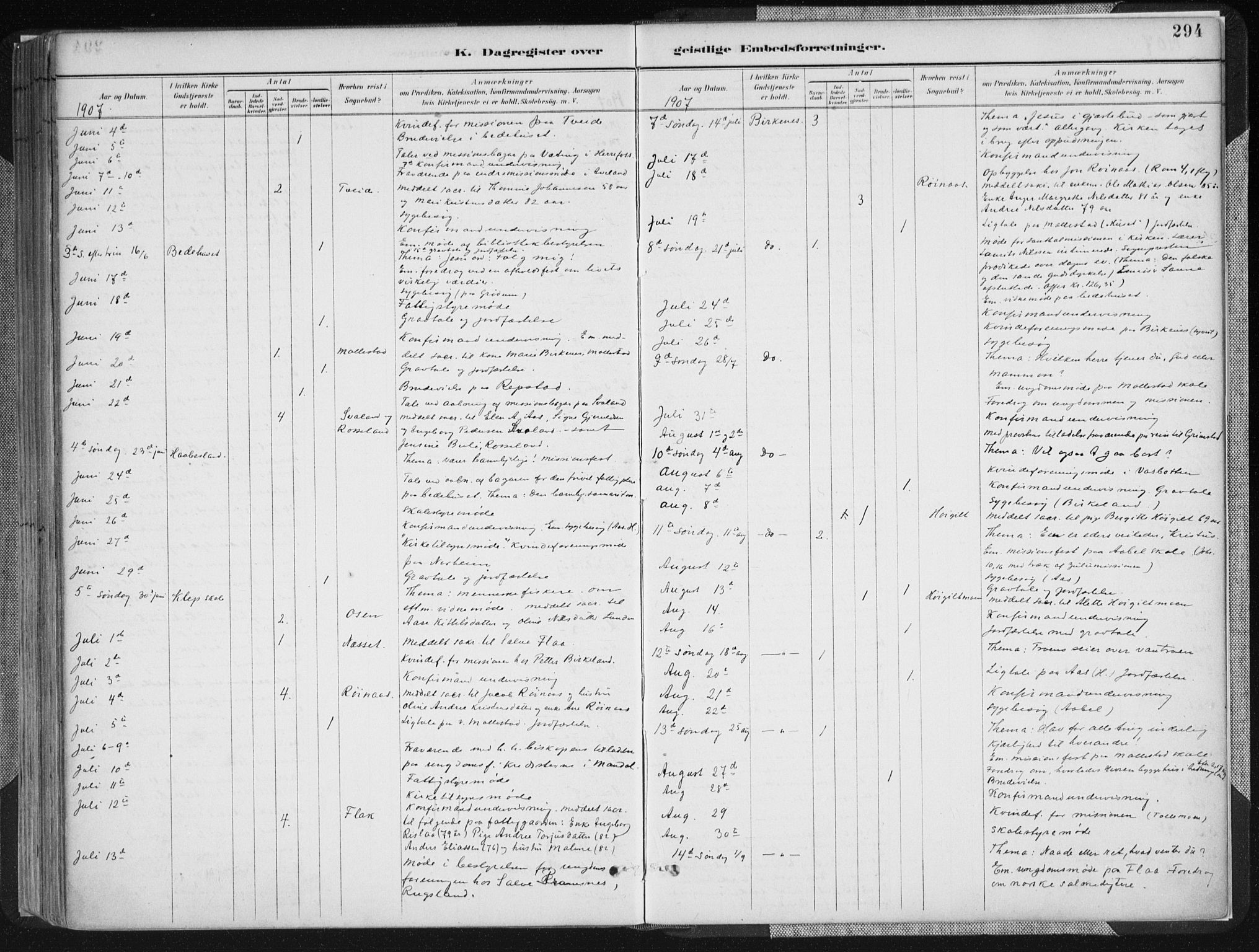 Birkenes sokneprestkontor, AV/SAK-1111-0004/F/Fa/L0005: Ministerialbok nr. A 5, 1887-1907, s. 294