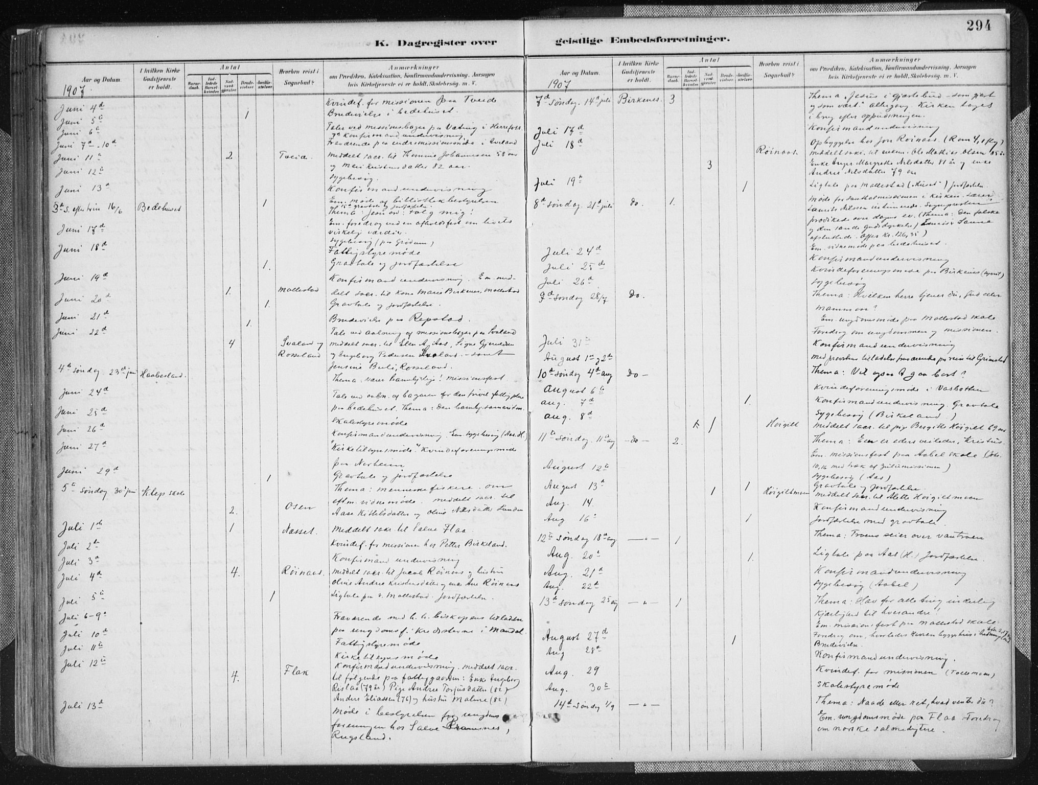 Birkenes sokneprestkontor, SAK/1111-0004/F/Fa/L0005: Ministerialbok nr. A 5, 1887-1907, s. 294