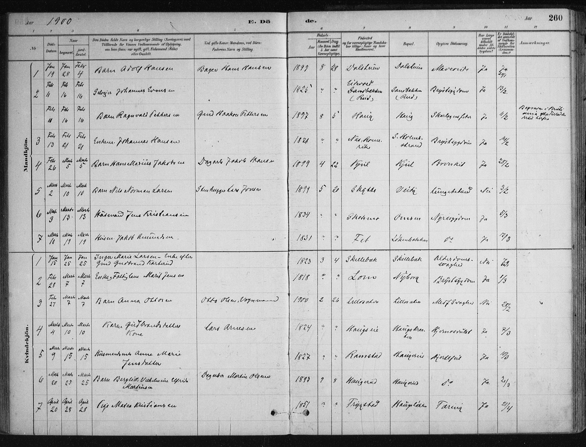 Nittedal prestekontor Kirkebøker, SAO/A-10365a/F/Fa/L0007: Ministerialbok nr. I 7, 1879-1901, s. 260