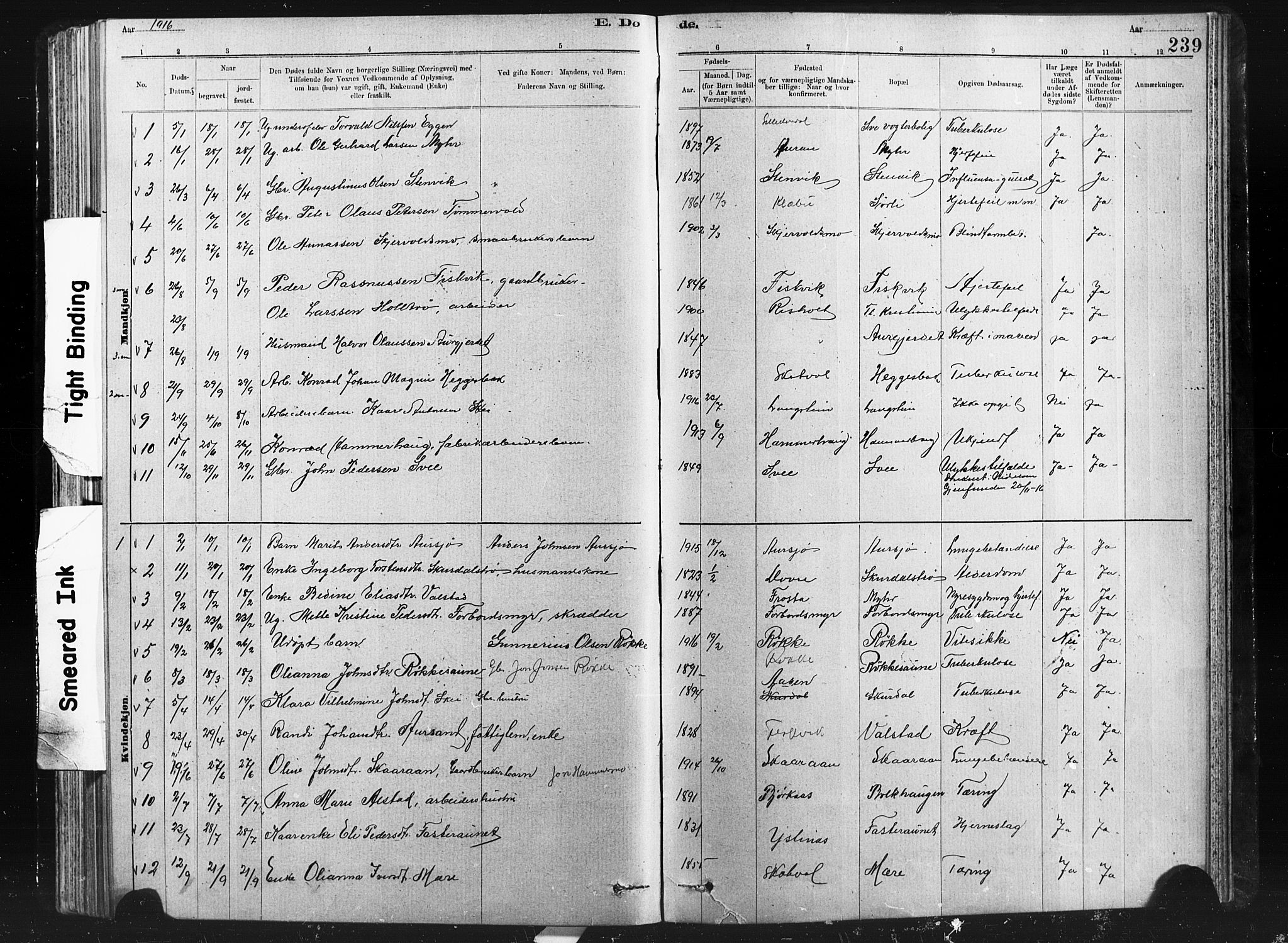 Ministerialprotokoller, klokkerbøker og fødselsregistre - Nord-Trøndelag, SAT/A-1458/712/L0103: Klokkerbok nr. 712C01, 1878-1917, s. 239