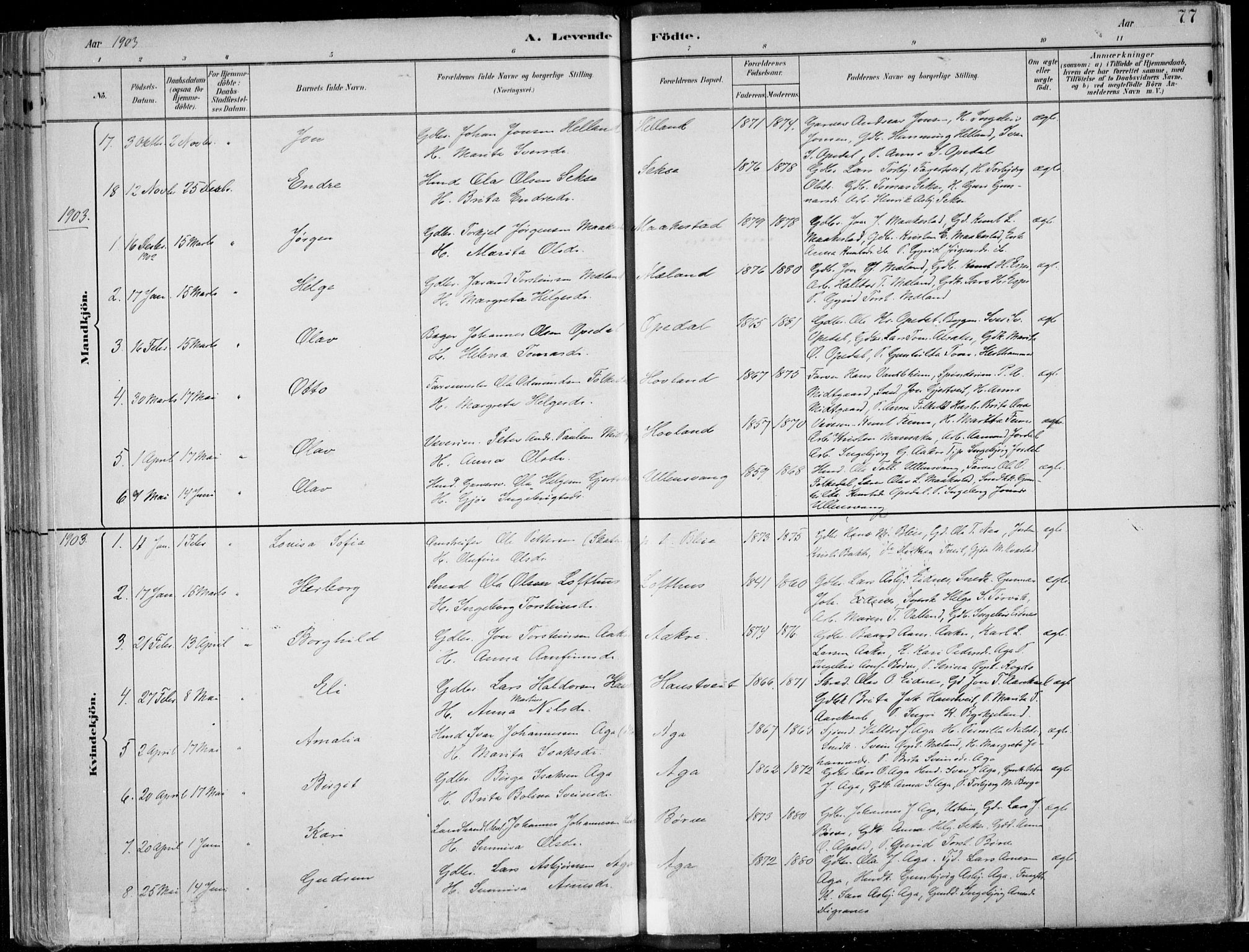 Ullensvang sokneprestembete, AV/SAB-A-78701/H/Haa: Ministerialbok nr. B  1, 1882-1918, s. 77