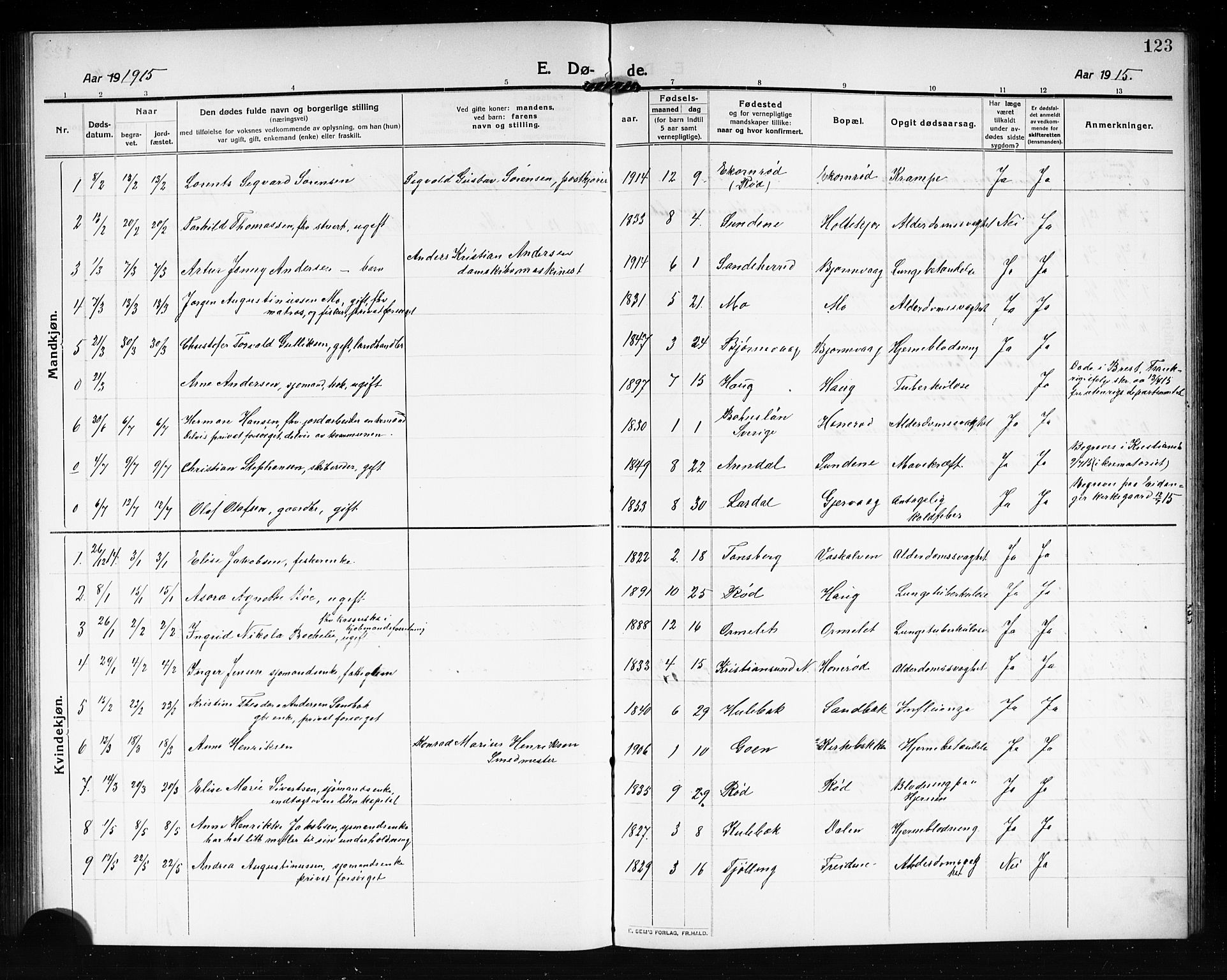 Tjøme kirkebøker, AV/SAKO-A-328/G/Ga/L0002: Klokkerbok nr. I 2, 1911-1920, s. 123