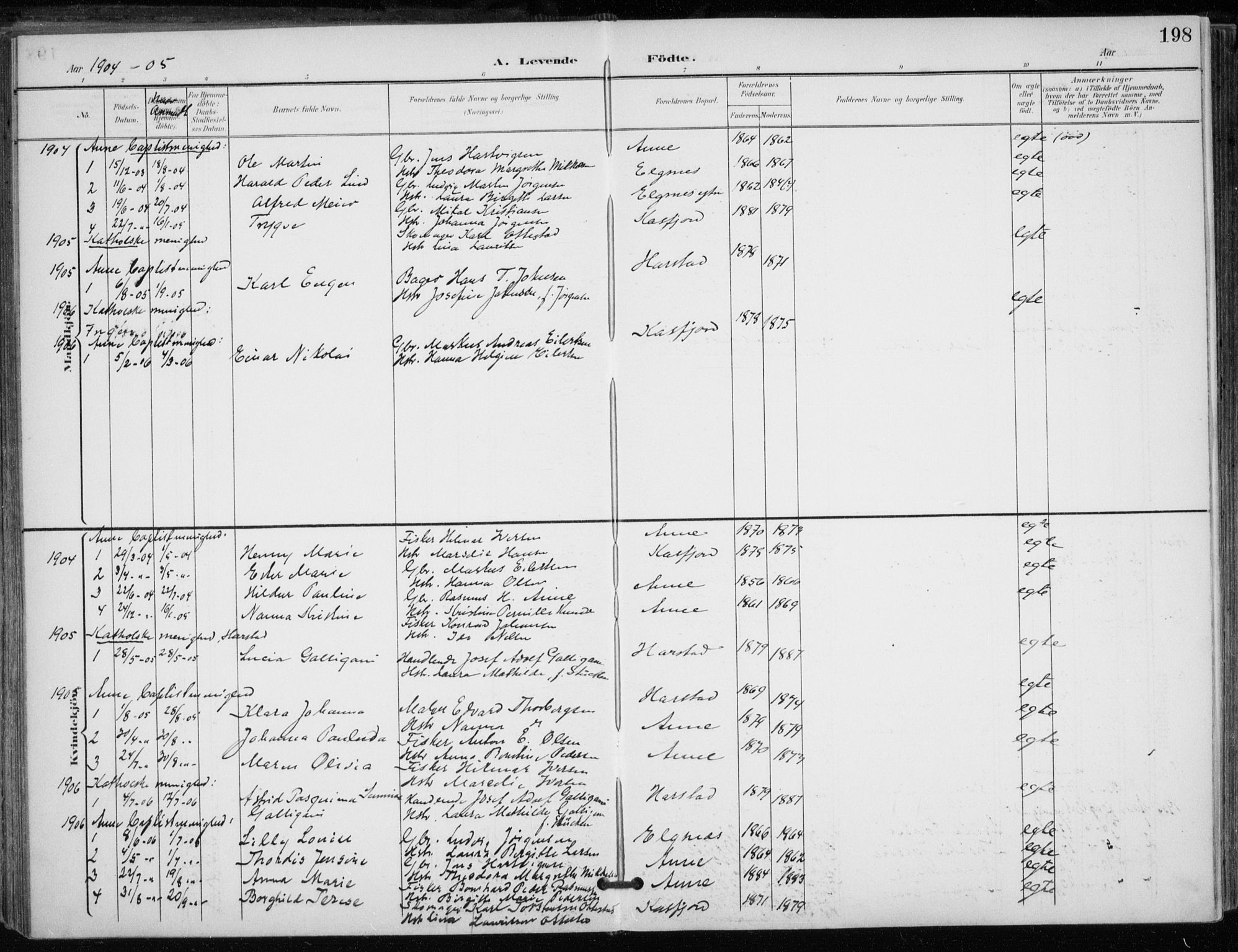 Trondenes sokneprestkontor, AV/SATØ-S-1319/H/Ha/L0017kirke: Ministerialbok nr. 17, 1899-1908, s. 198