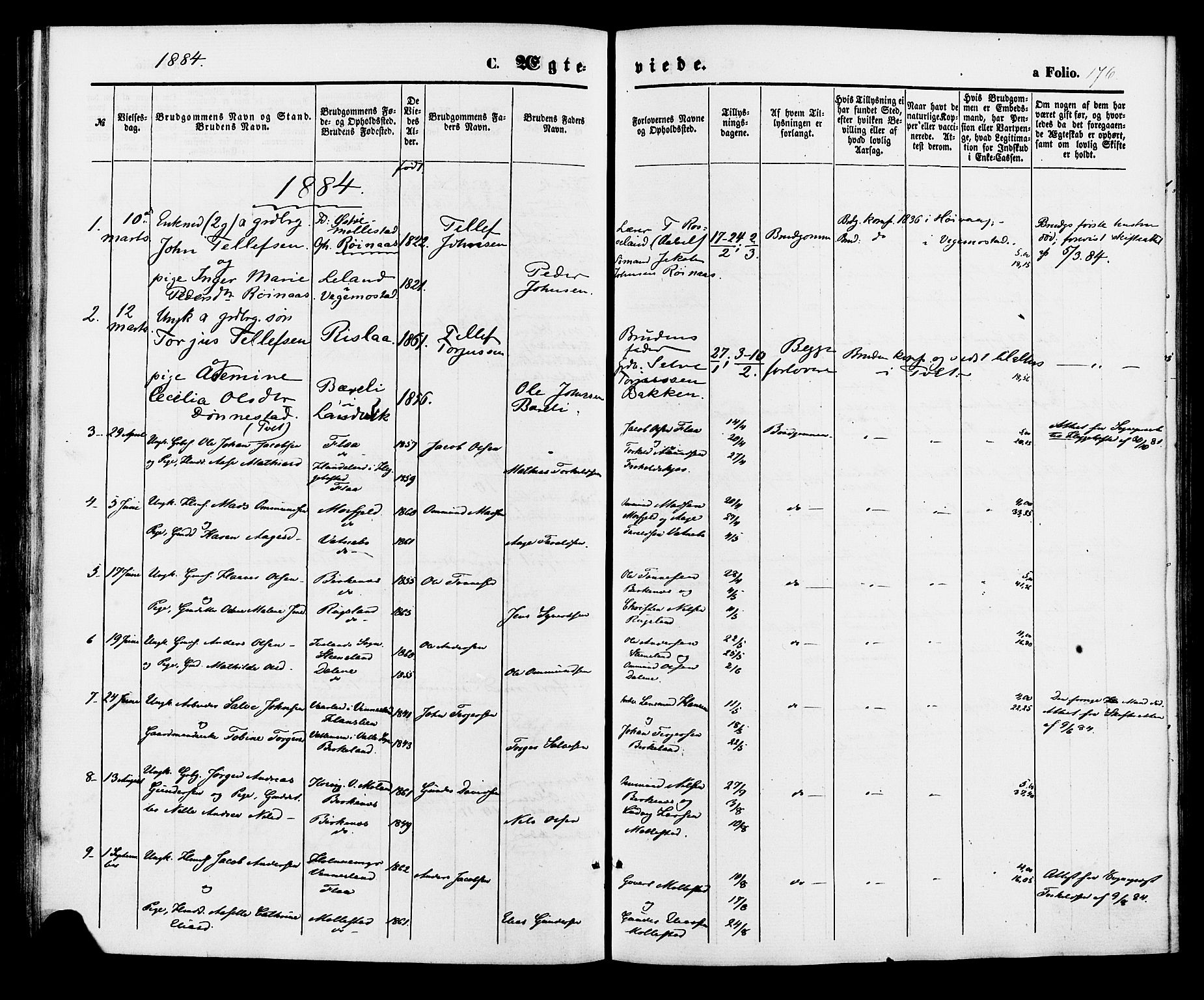 Birkenes sokneprestkontor, SAK/1111-0004/F/Fa/L0004: Ministerialbok nr. A 4, 1867-1886, s. 176