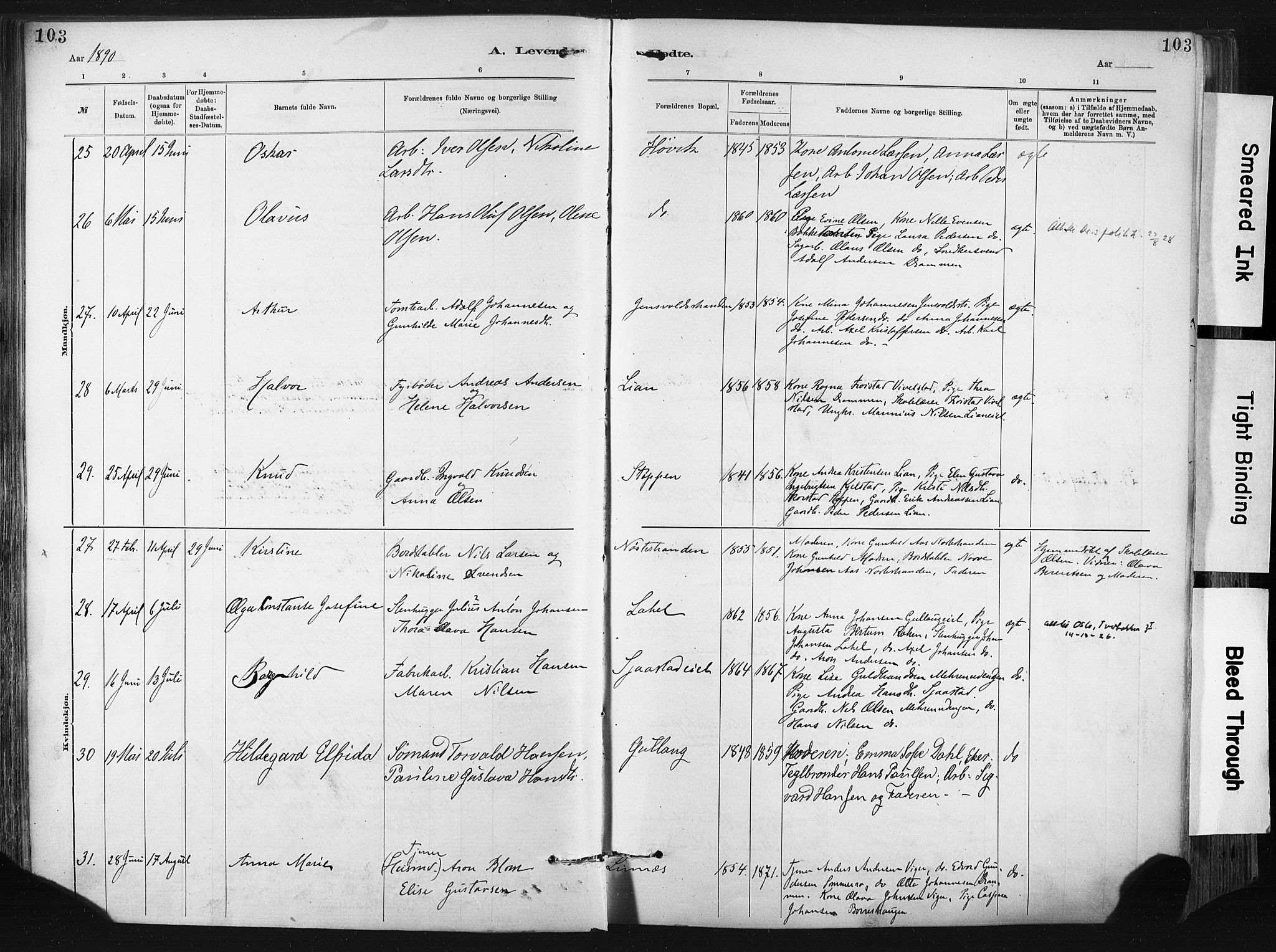 Lier kirkebøker, AV/SAKO-A-230/F/Fa/L0015: Ministerialbok nr. I 15, 1883-1894, s. 103