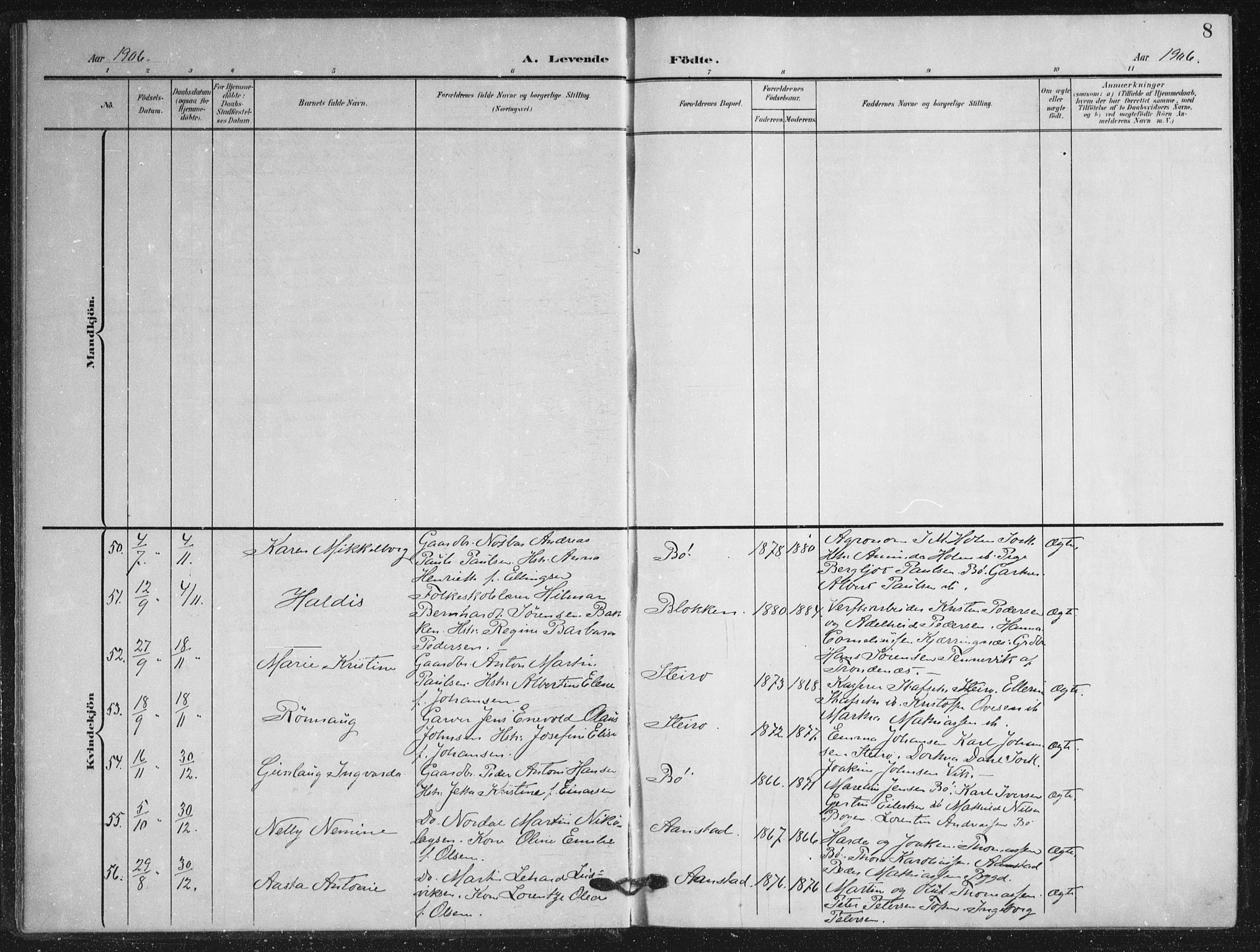 Ministerialprotokoller, klokkerbøker og fødselsregistre - Nordland, AV/SAT-A-1459/895/L1373: Ministerialbok nr. 895A08, 1905-1915, s. 8