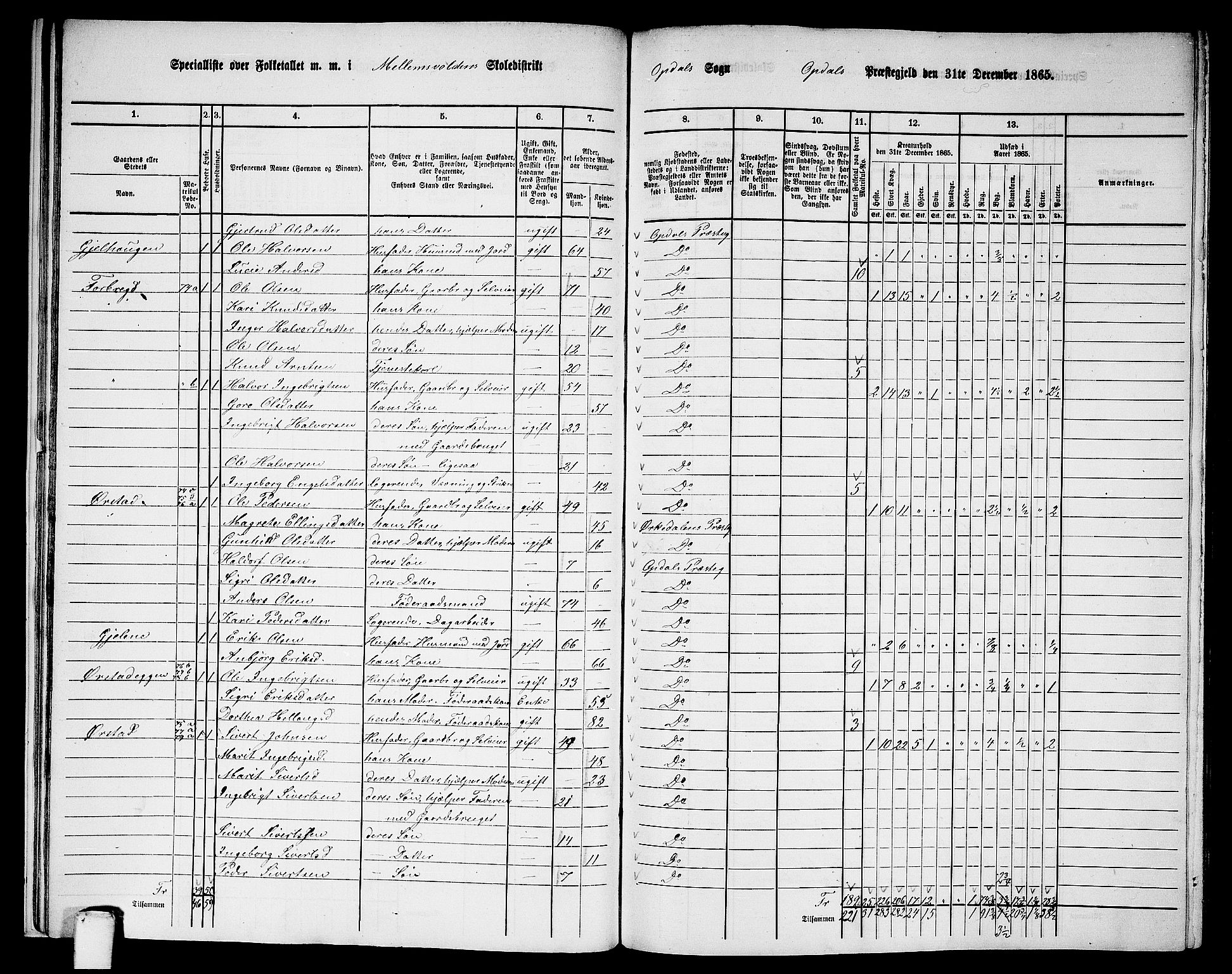 RA, Folketelling 1865 for 1634P Oppdal prestegjeld, 1865, s. 22