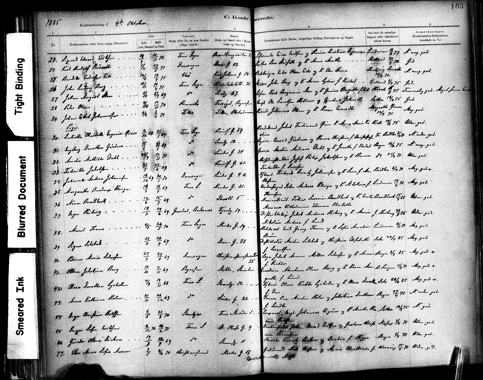 Ministerialprotokoller, klokkerbøker og fødselsregistre - Sør-Trøndelag, AV/SAT-A-1456/602/L0119: Ministerialbok nr. 602A17, 1880-1901, s. 163