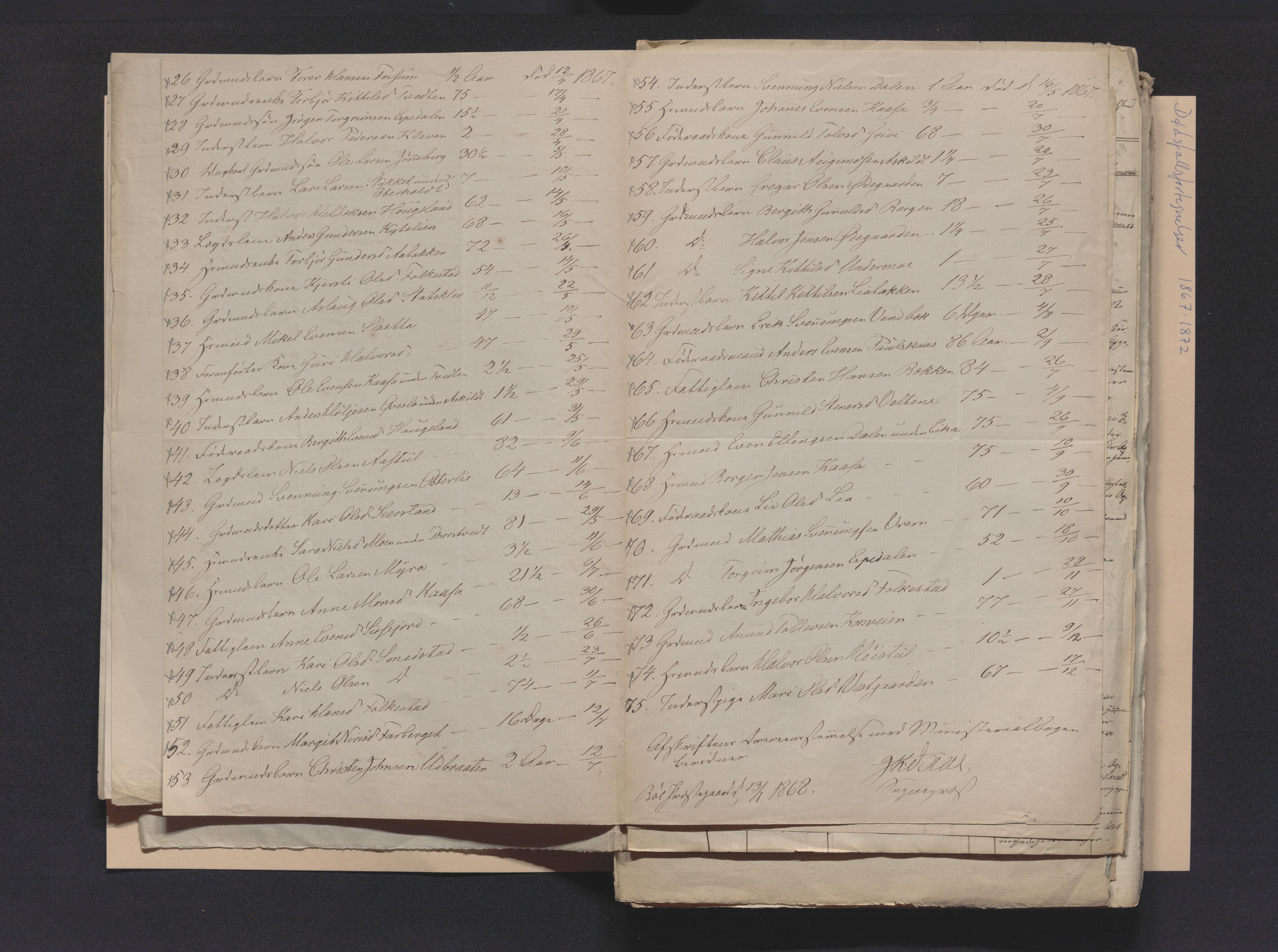 Nedre Telemark sorenskriveri, AV/SAKO-A-135/H/Ha/Hab/L0001: Dødsfallsfortegnelser
, 1867-1886, s. 10