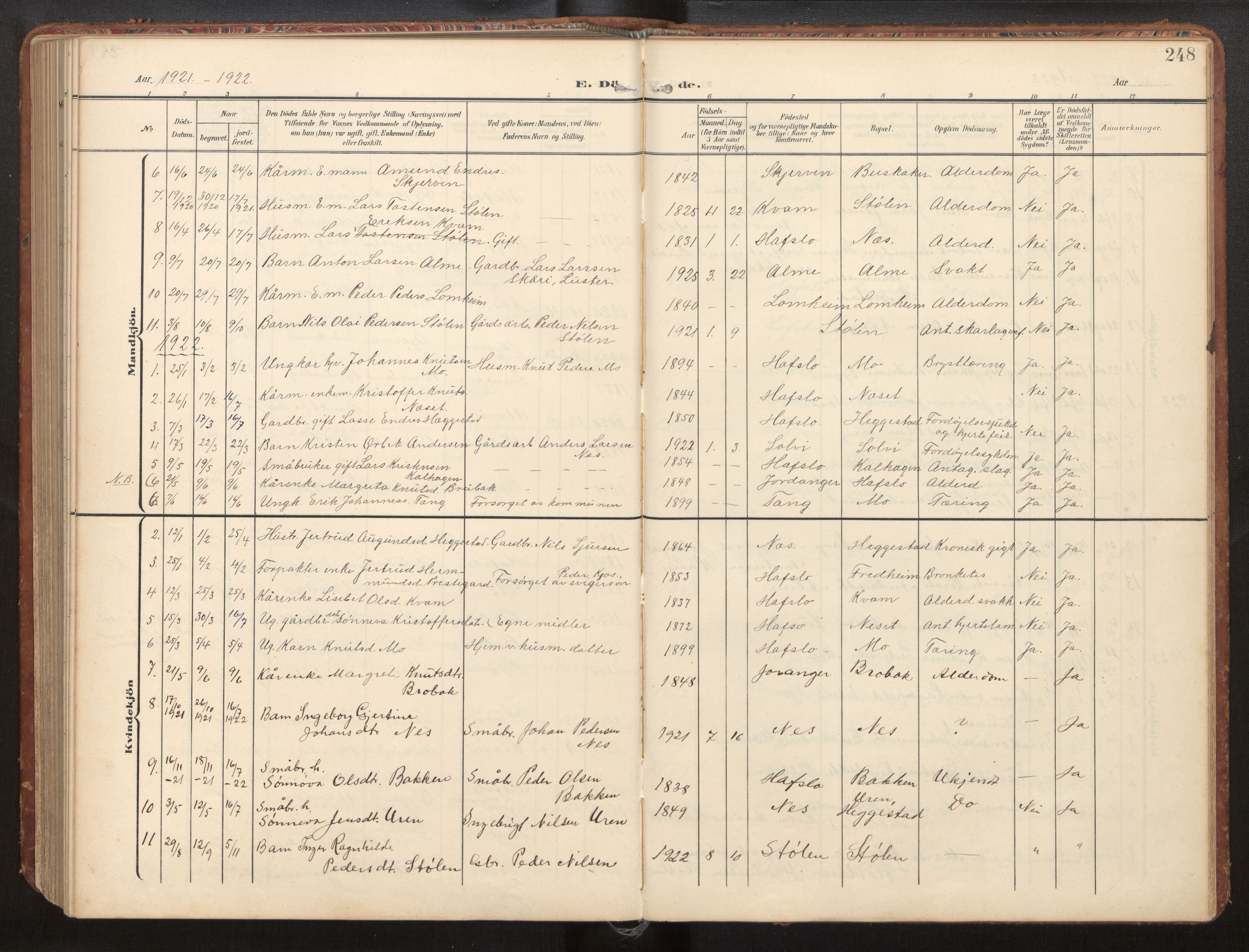 Hafslo sokneprestembete, AV/SAB-A-80301/H/Hab/Habb/L0002: Klokkerbok nr. B 2, 1909-1947, s. 248