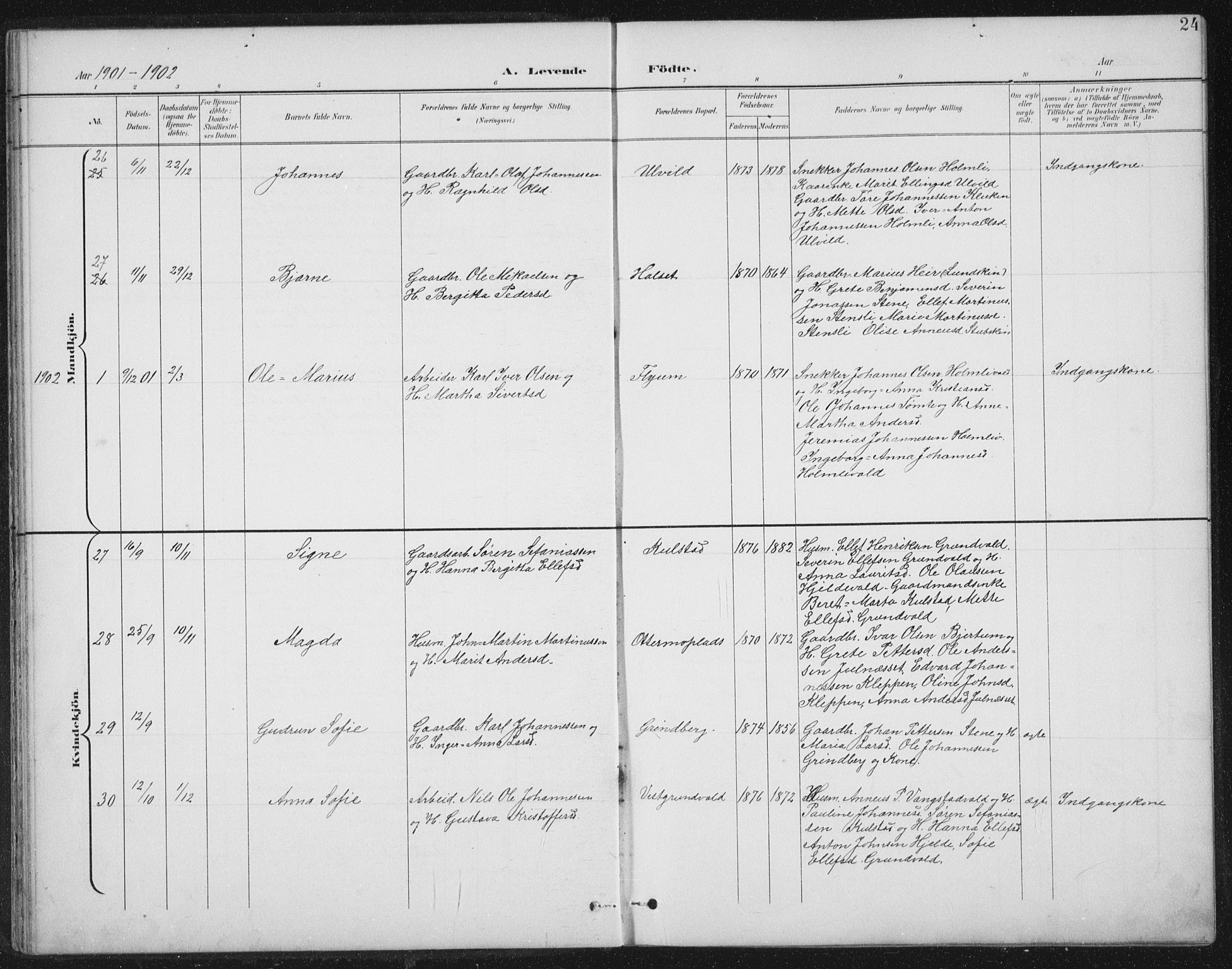 Ministerialprotokoller, klokkerbøker og fødselsregistre - Nord-Trøndelag, SAT/A-1458/724/L0269: Klokkerbok nr. 724C05, 1899-1920, s. 24