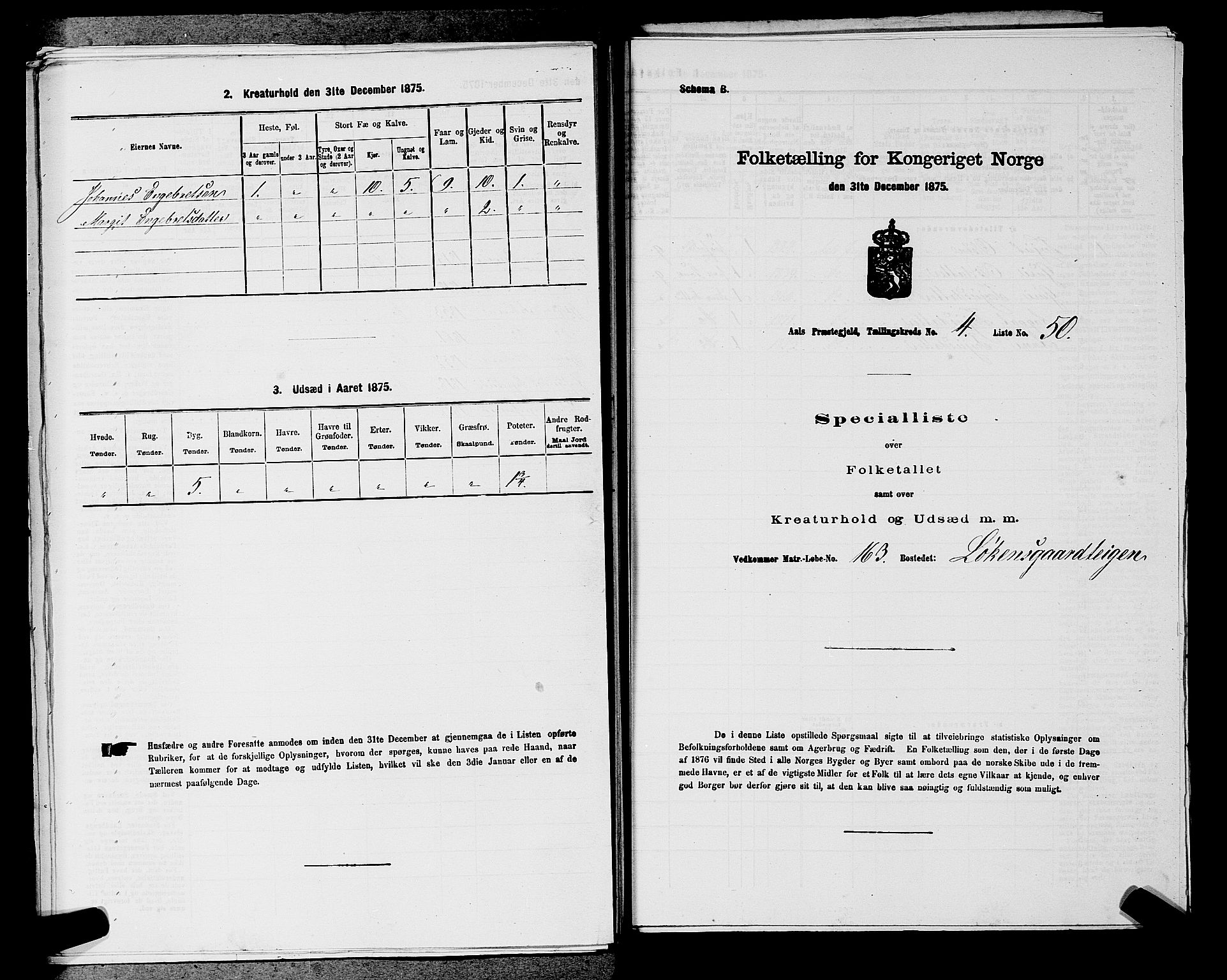 SAKO, Folketelling 1875 for 0619P Ål prestegjeld, 1875, s. 566