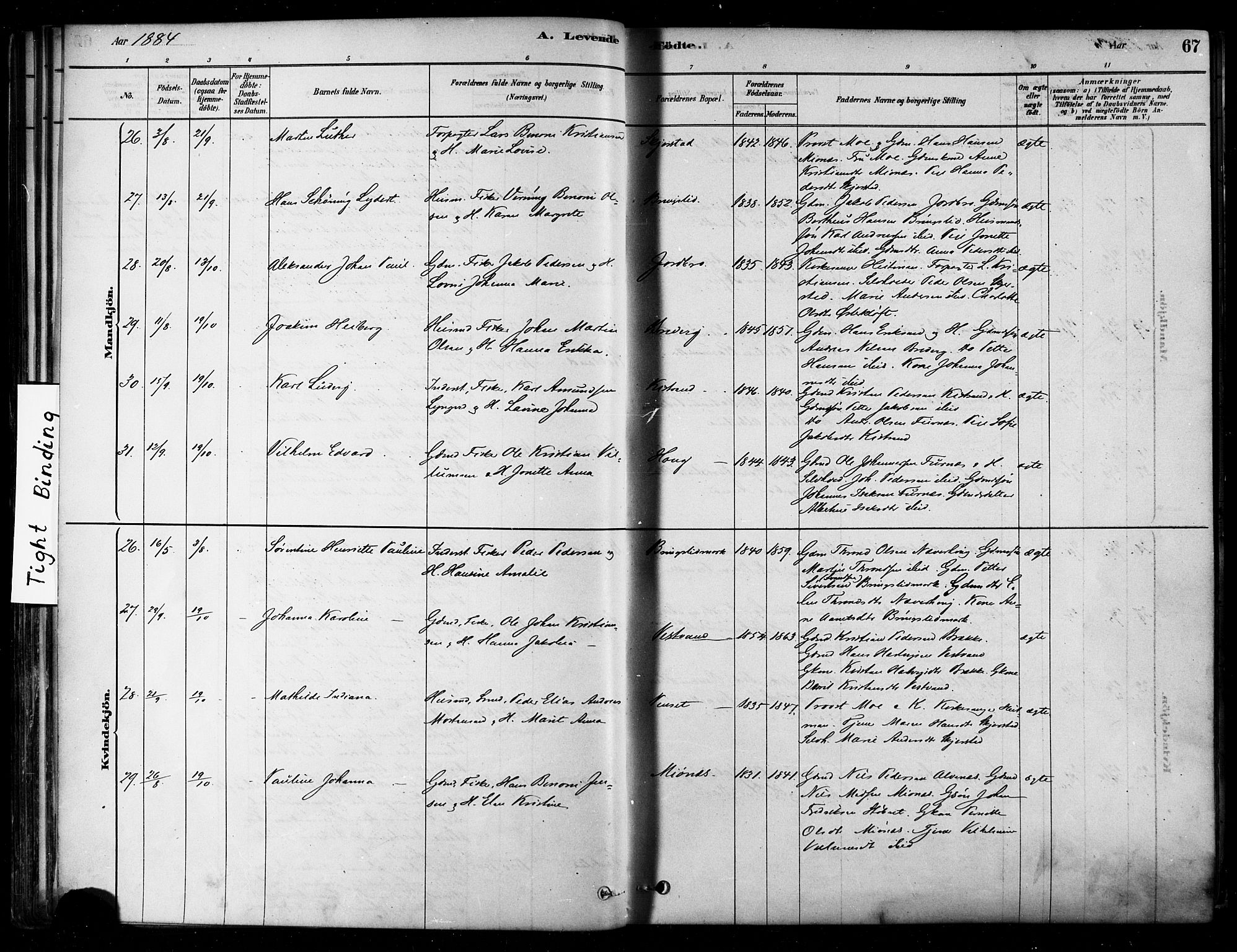 Ministerialprotokoller, klokkerbøker og fødselsregistre - Nordland, SAT/A-1459/852/L0740: Ministerialbok nr. 852A10, 1878-1894, s. 67