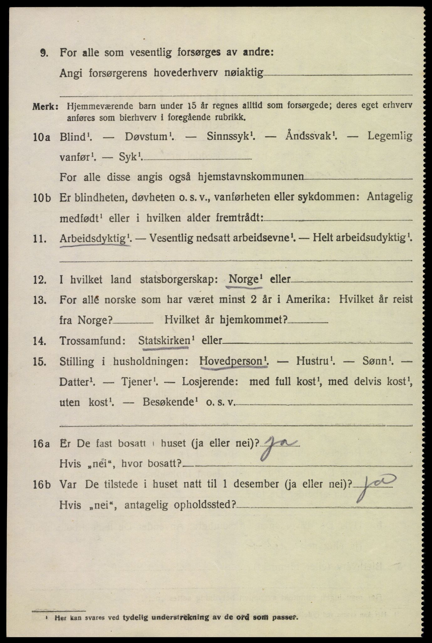 SAK, Folketelling 1920 for 0936 Hornnes herred, 1920, s. 3066