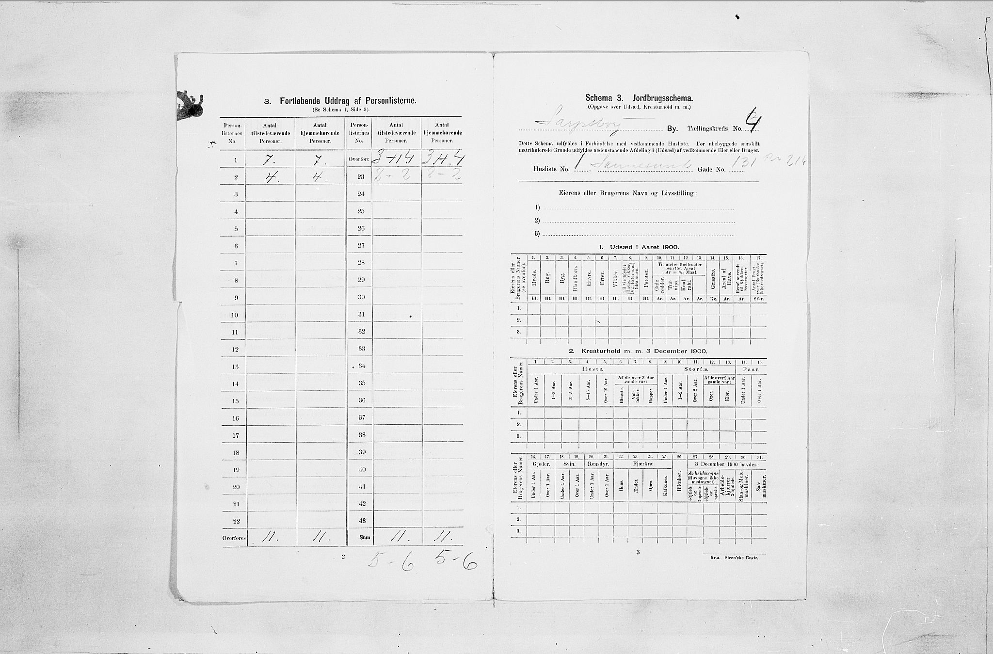 SAO, Folketelling 1900 for 0102 Sarpsborg kjøpstad, 1900