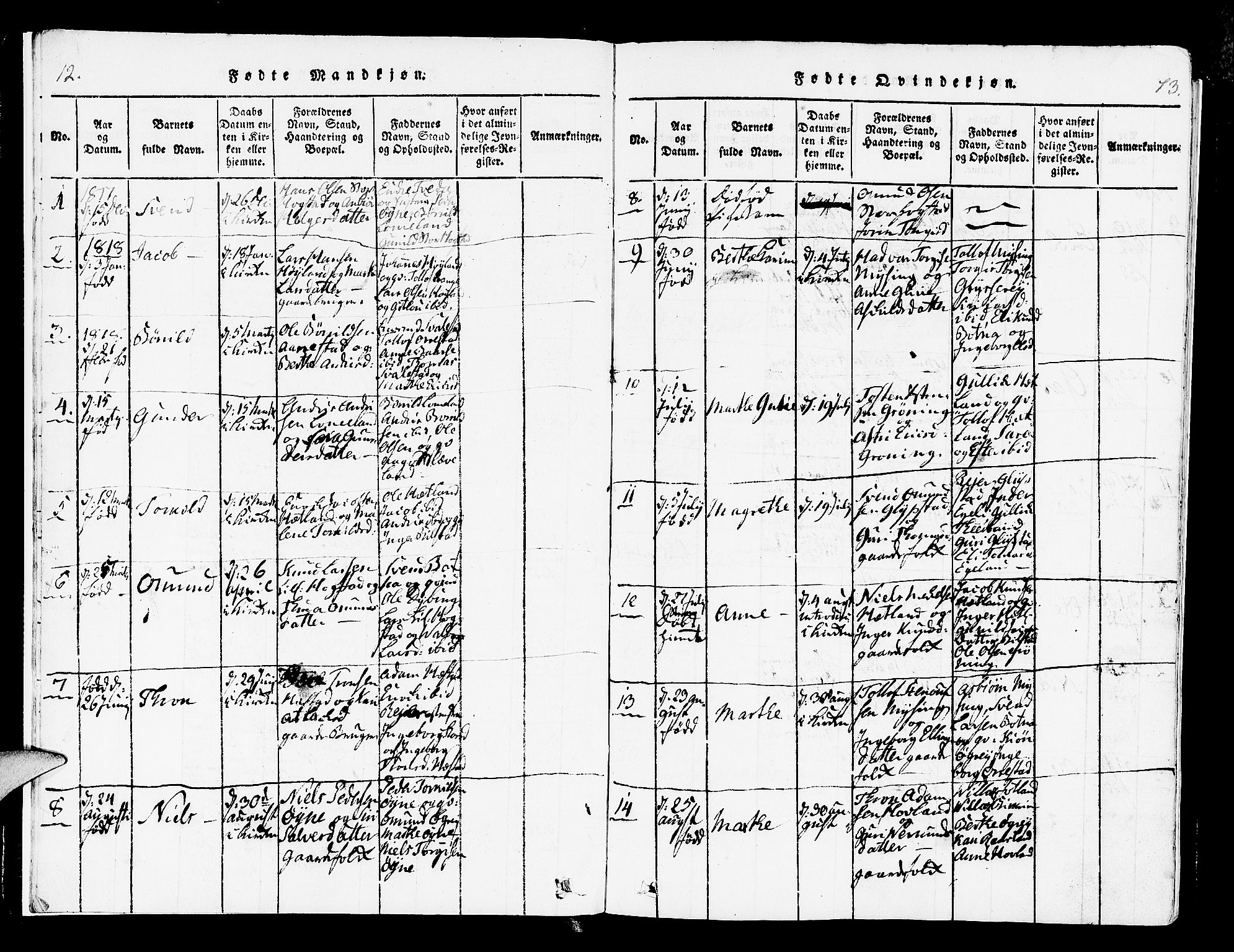 Helleland sokneprestkontor, AV/SAST-A-101810: Ministerialbok nr. A 4, 1815-1834, s. 12-13