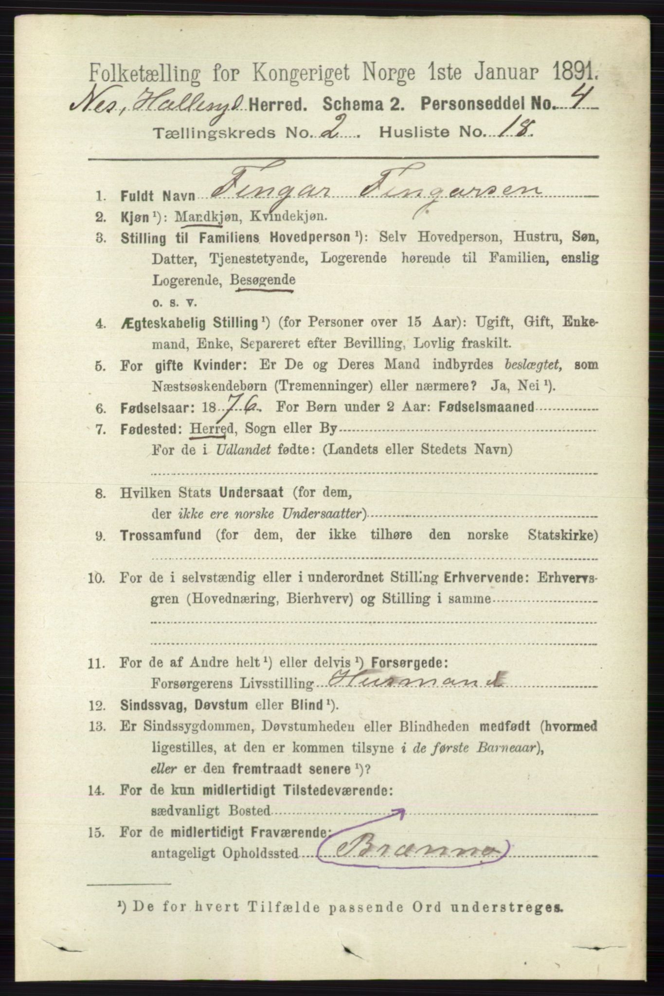 RA, Folketelling 1891 for 0616 Nes herred, 1891, s. 1080
