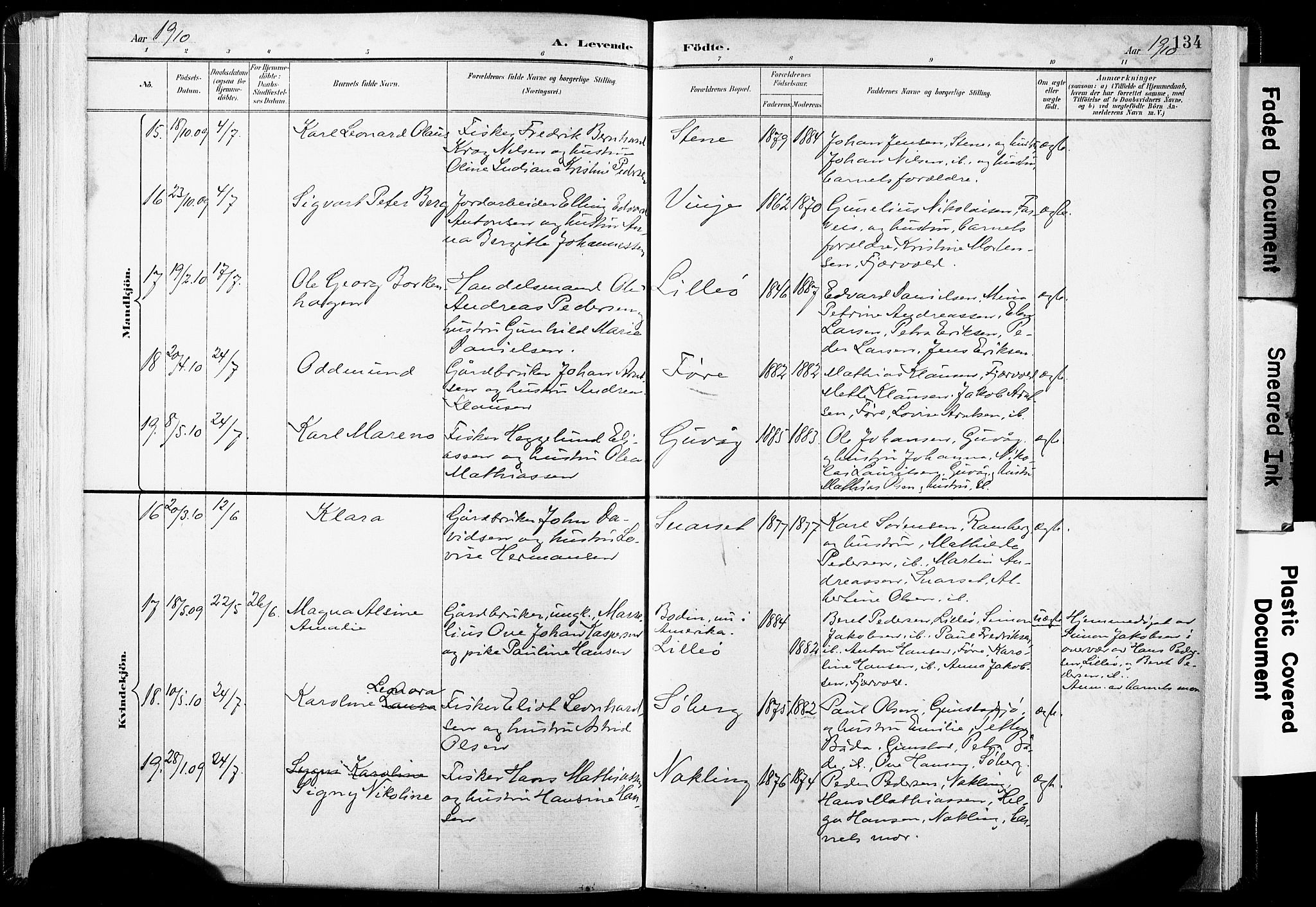Ministerialprotokoller, klokkerbøker og fødselsregistre - Nordland, SAT/A-1459/891/L1304: Ministerialbok nr. 891A09, 1895-1921, s. 134