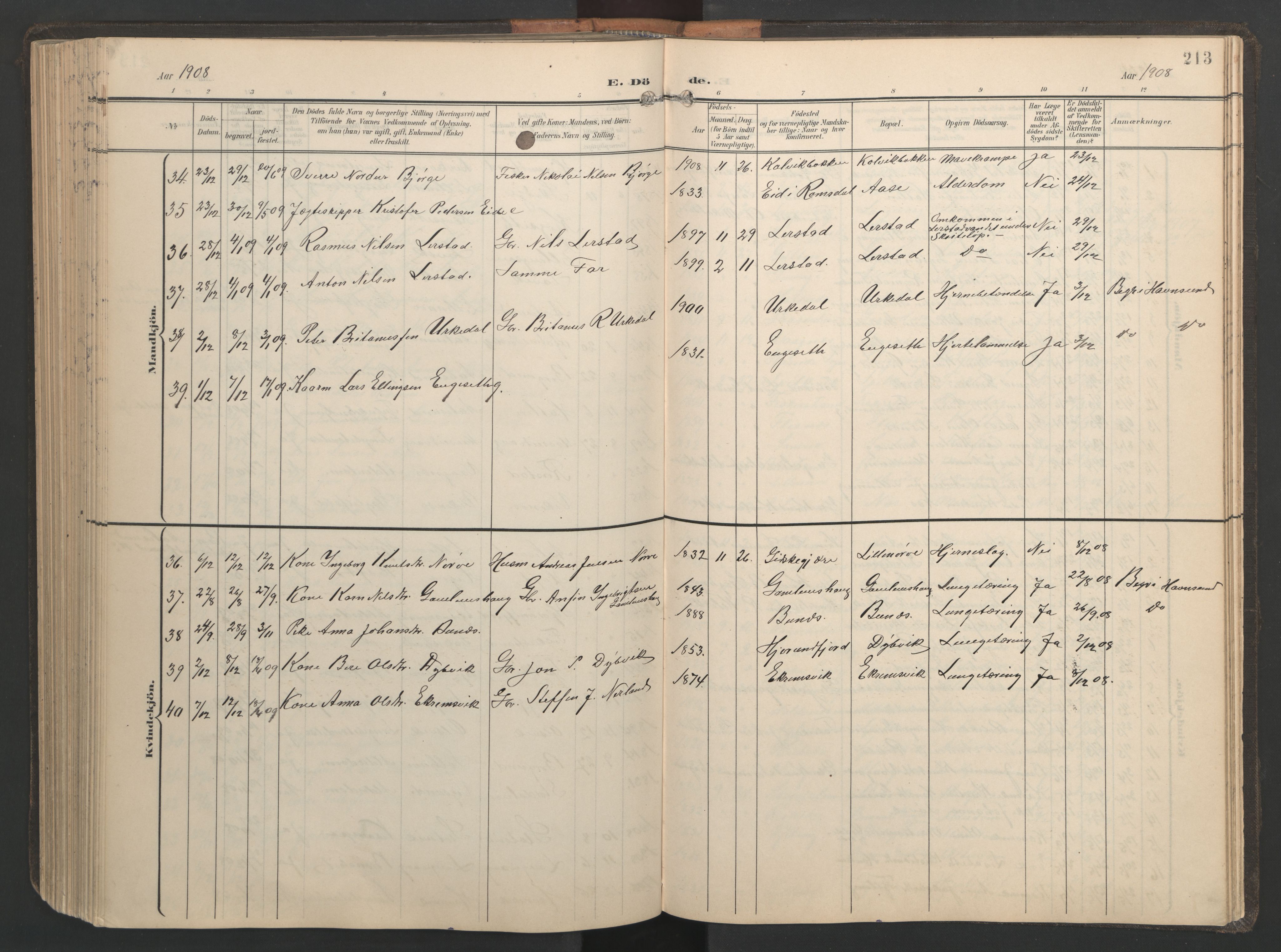 Ministerialprotokoller, klokkerbøker og fødselsregistre - Møre og Romsdal, AV/SAT-A-1454/528/L0433: Klokkerbok nr. 528C14, 1899-1922, s. 213