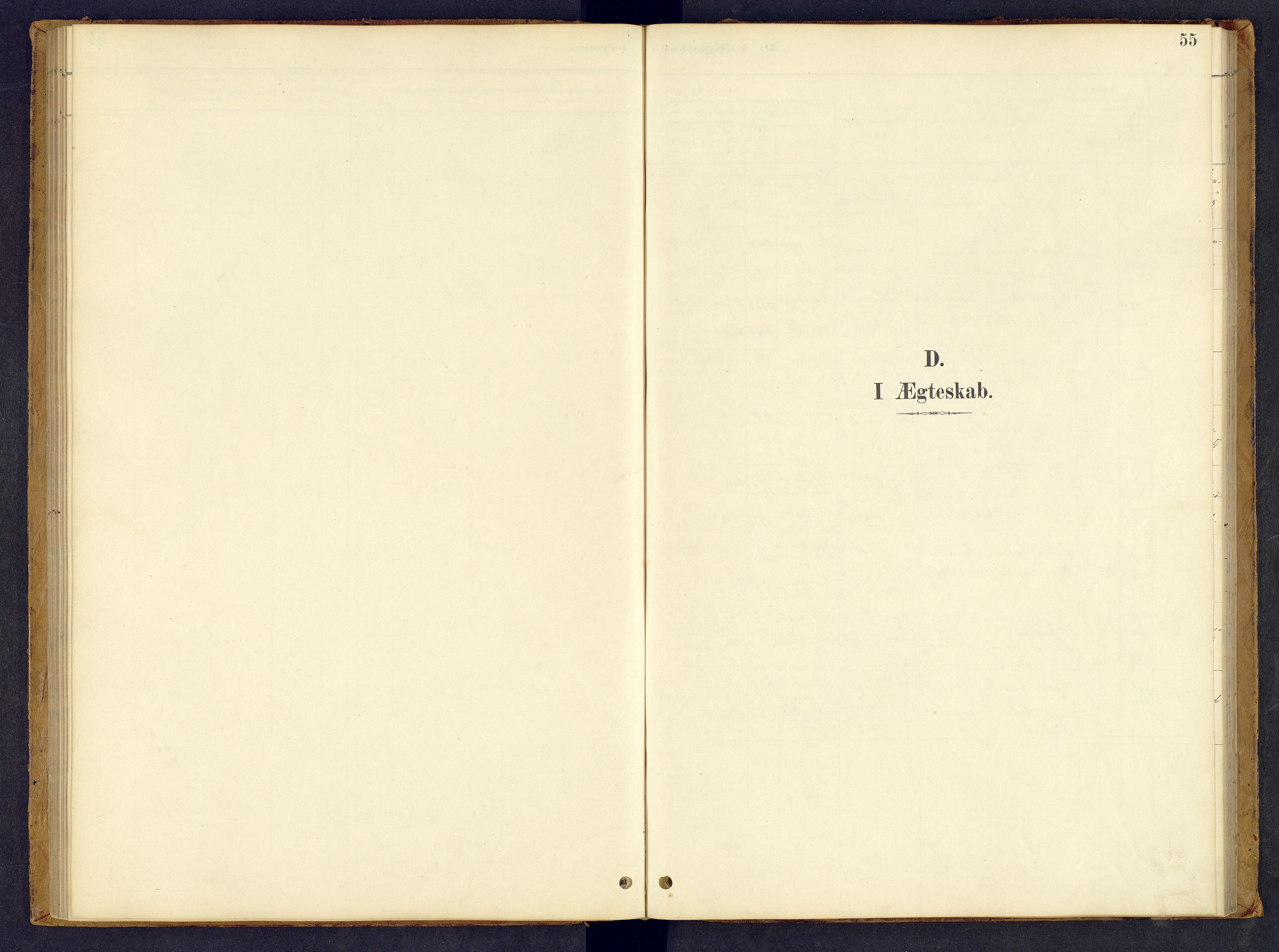 Tynset prestekontor, SAH/PREST-058/H/Ha/Hab/L0008: Klokkerbok nr. 8, 1884-1916, s. 55