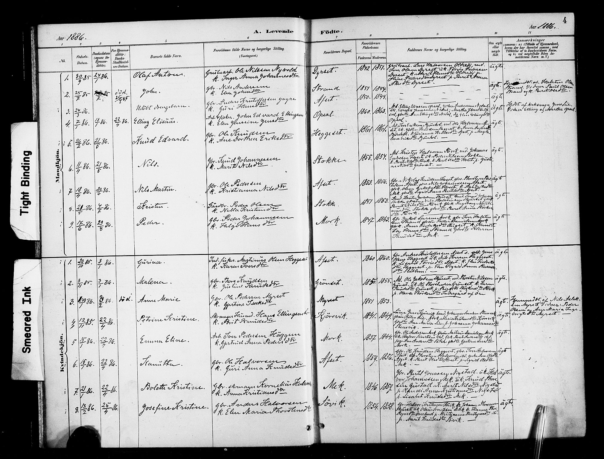 Ministerialprotokoller, klokkerbøker og fødselsregistre - Møre og Romsdal, SAT/A-1454/568/L0809: Ministerialbok nr. 568A13, 1884-1900, s. 4