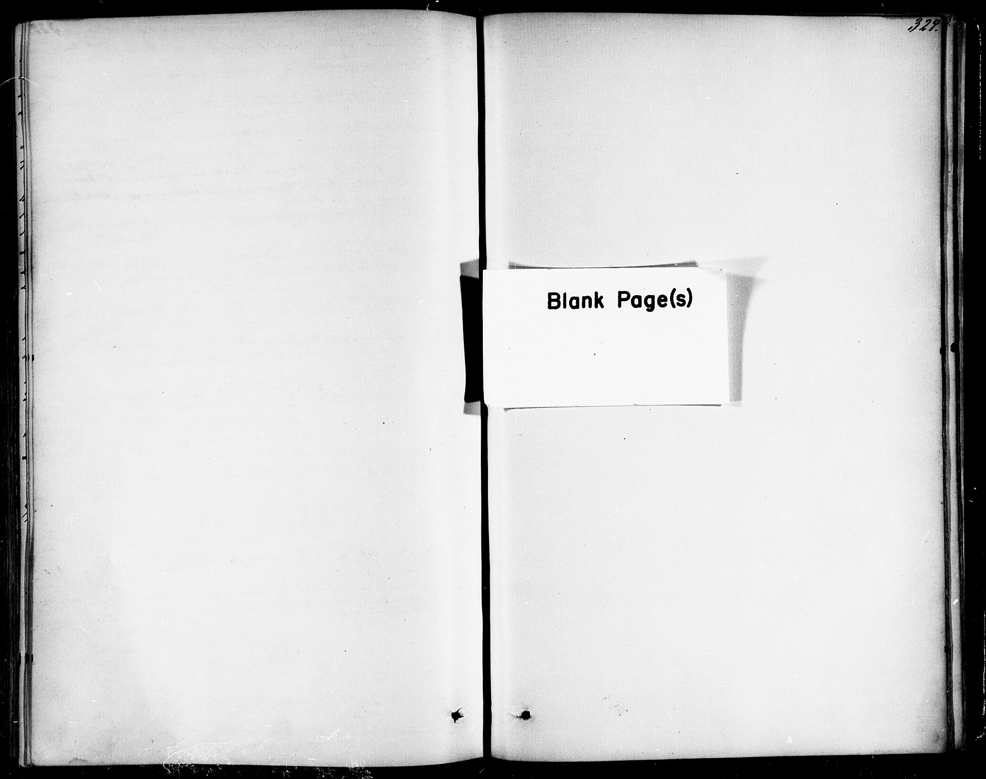 Ministerialprotokoller, klokkerbøker og fødselsregistre - Nordland, AV/SAT-A-1459/838/L0551: Ministerialbok nr. 838A09, 1864-1880, s. 324