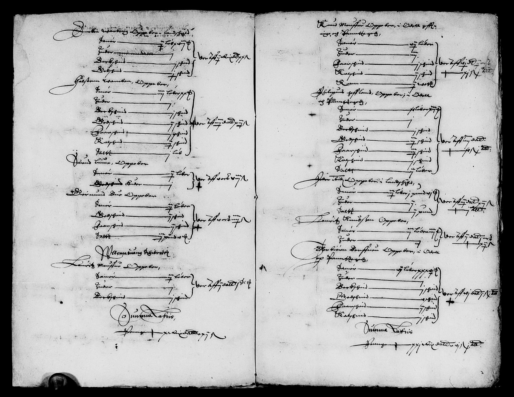 Rentekammeret inntil 1814, Reviderte regnskaper, Lensregnskaper, AV/RA-EA-5023/R/Rb/Rbt/L0040: Bergenhus len, 1625-1627