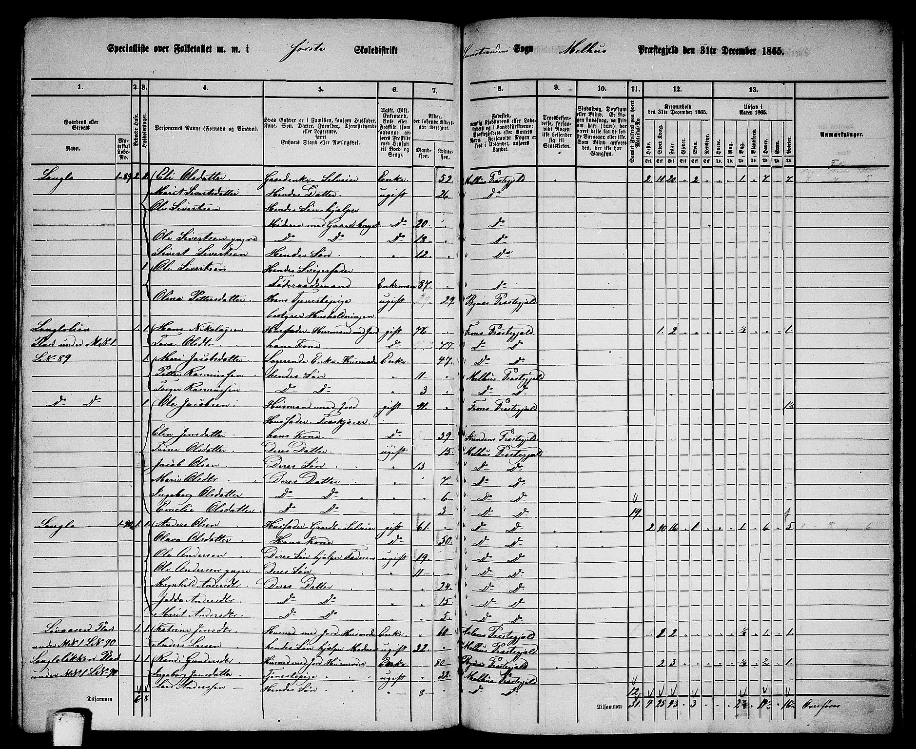 RA, Folketelling 1865 for 1653P Melhus prestegjeld, 1865, s. 201