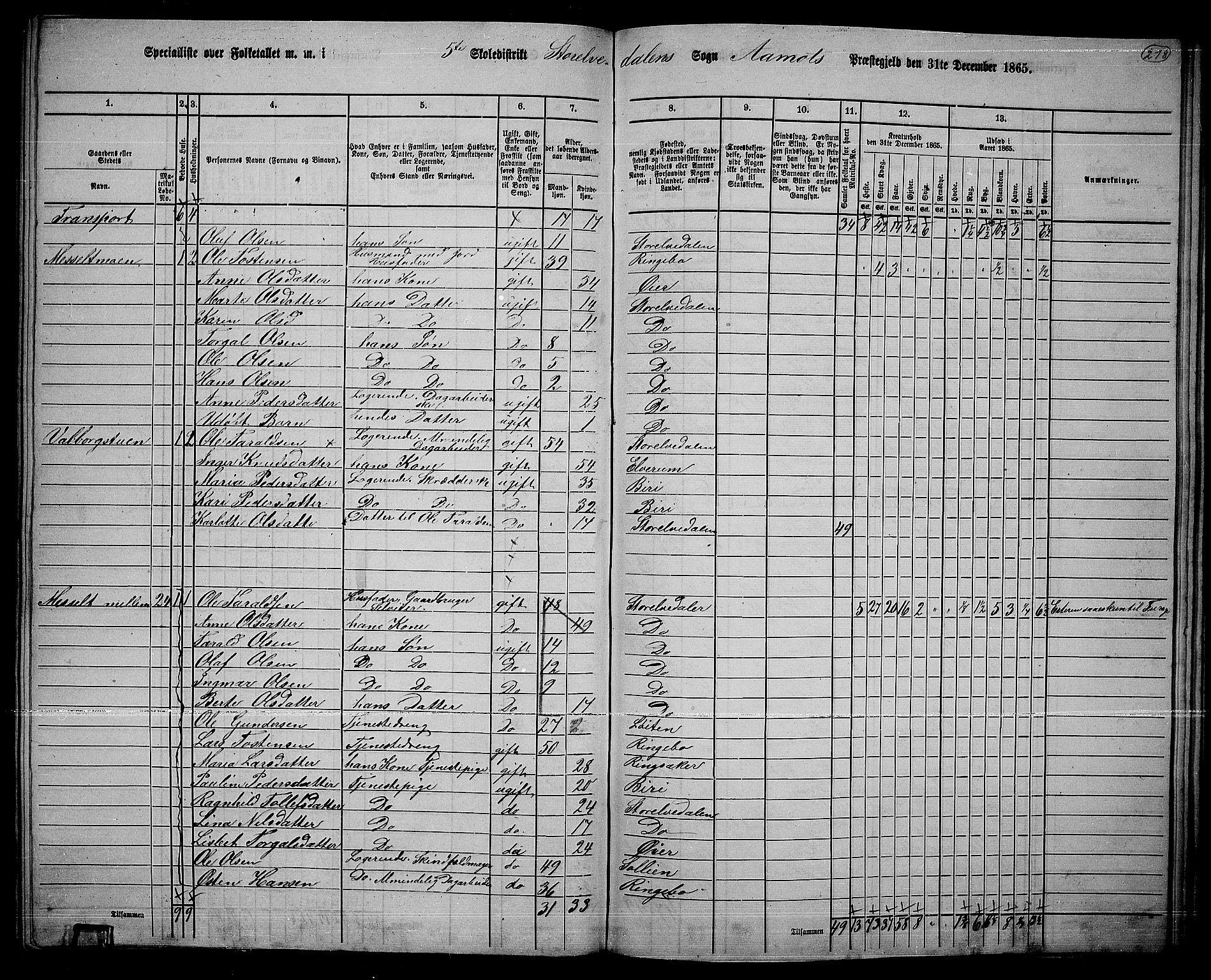 RA, Folketelling 1865 for 0429P Åmot prestegjeld, 1865, s. 188