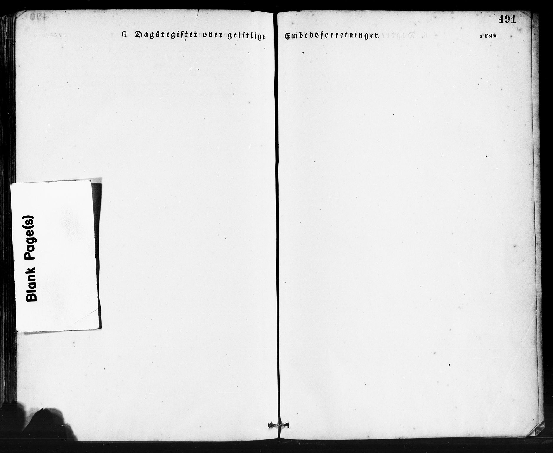 Klepp sokneprestkontor, SAST/A-101803/001/3/30BA/L0006: Ministerialbok nr. A 6, 1871-1885, s. 491