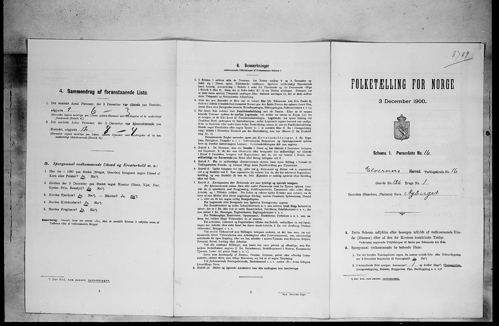 SAH, Folketelling 1900 for 0427 Elverum herred, 1900, s. 2258