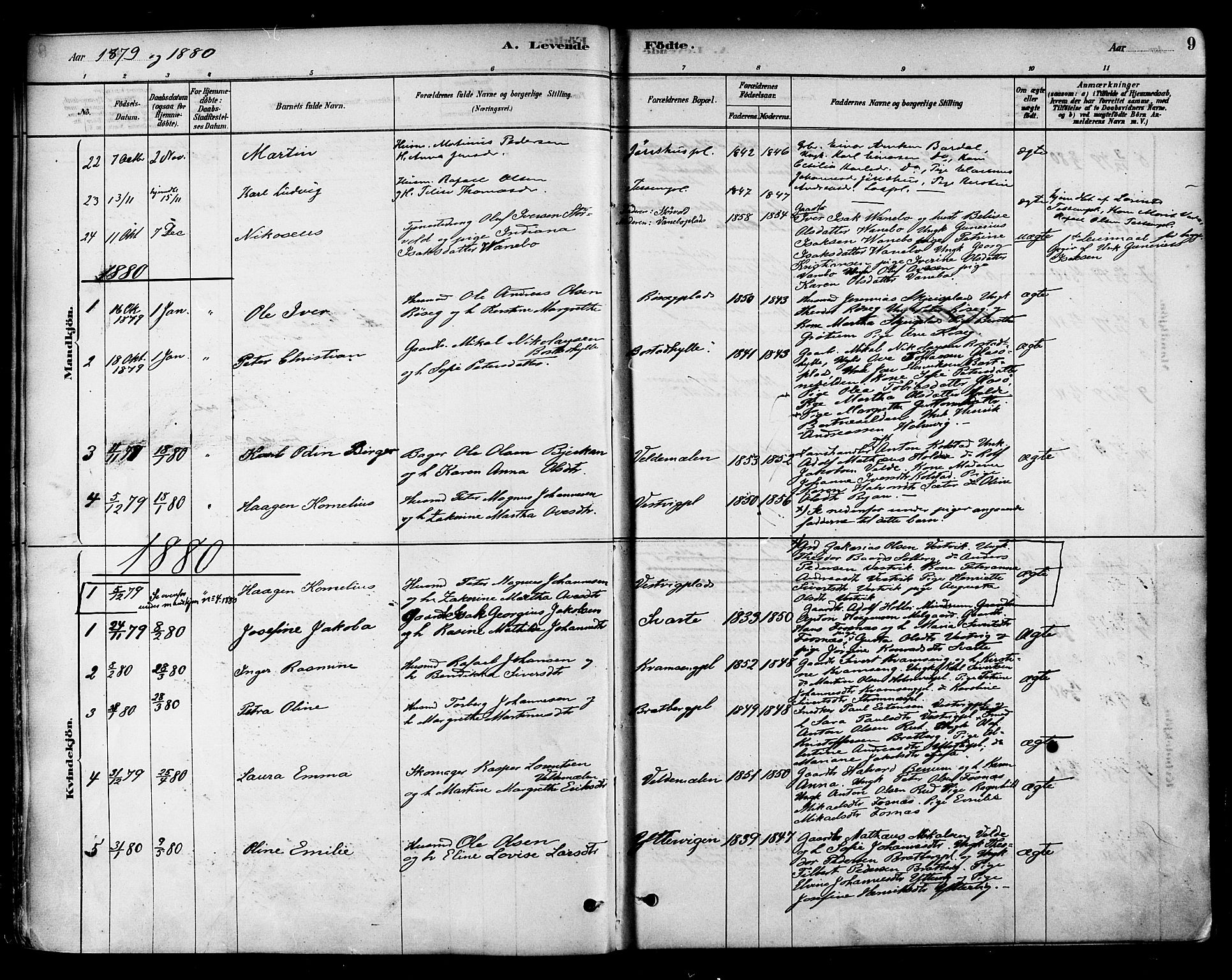 Ministerialprotokoller, klokkerbøker og fødselsregistre - Nord-Trøndelag, SAT/A-1458/741/L0395: Ministerialbok nr. 741A09, 1878-1888, s. 9