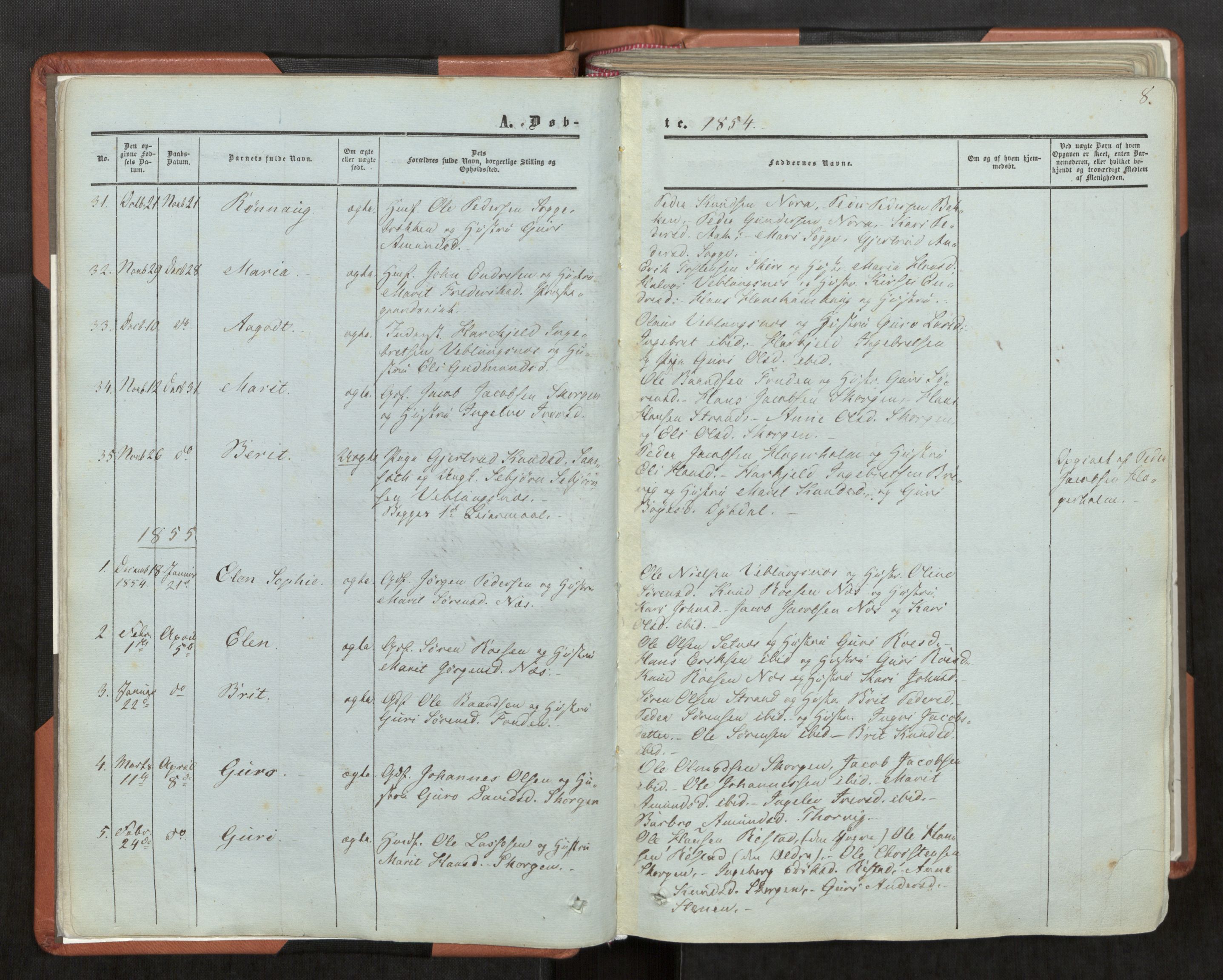 Ministerialprotokoller, klokkerbøker og fødselsregistre - Møre og Romsdal, AV/SAT-A-1454/544/L0572: Ministerialbok nr. 544A05, 1854-1886, s. 8